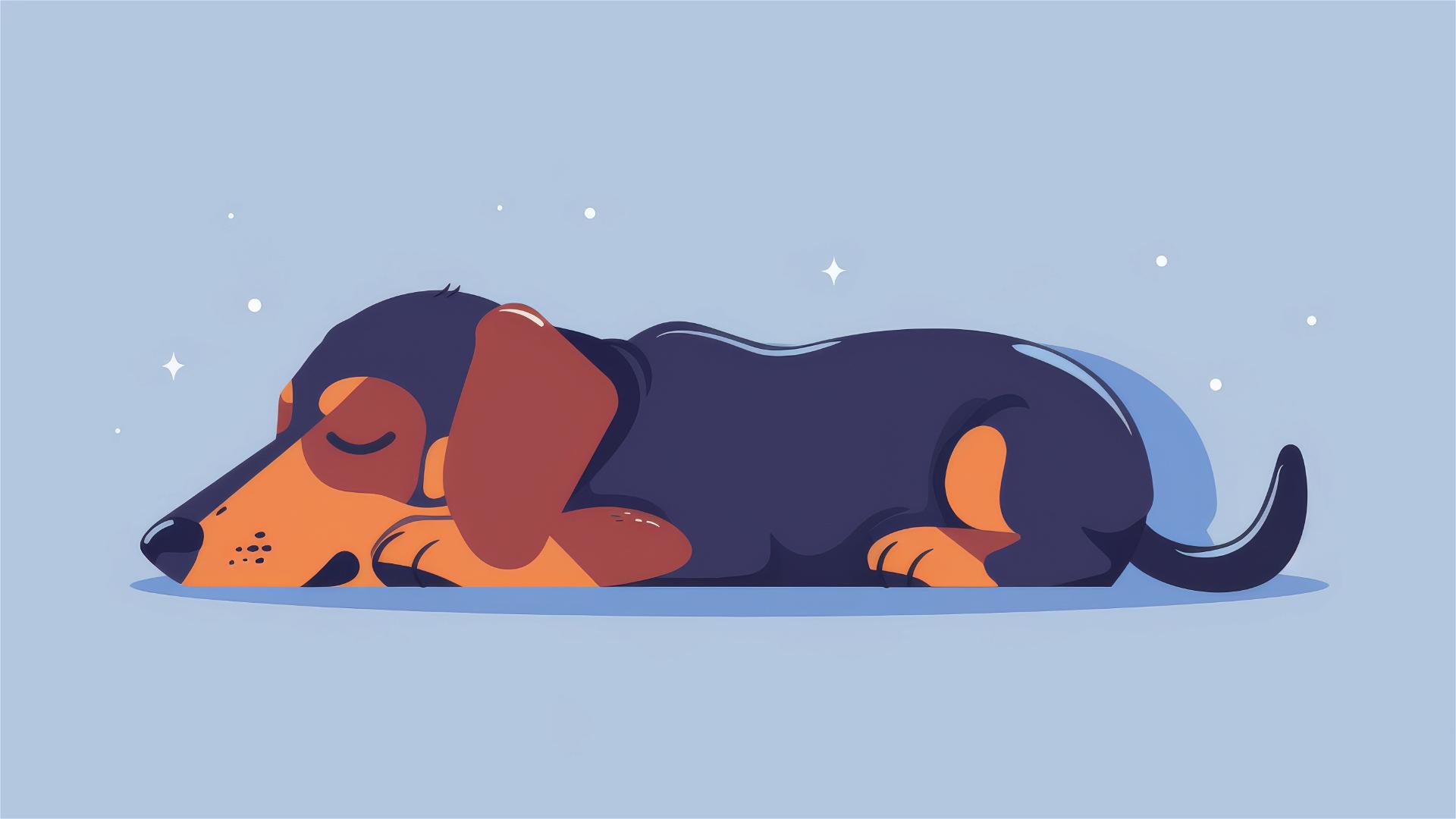 Cute happy Dachshund under invisible space, minimalist illustration