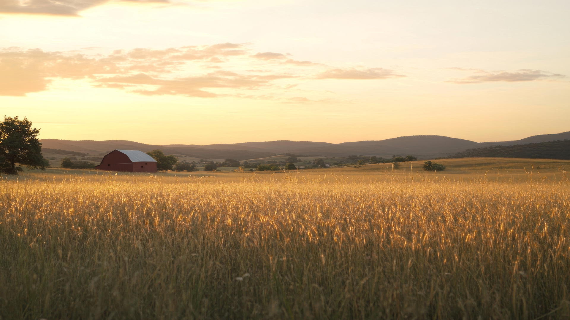 thanksgiving aesthetic wallpaper of an open field during golden hour with a red barn