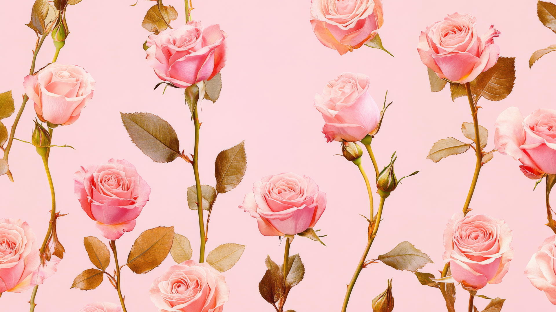 preppy wallpaper pink with elegant pattern of pink roses and gold stems on blush background