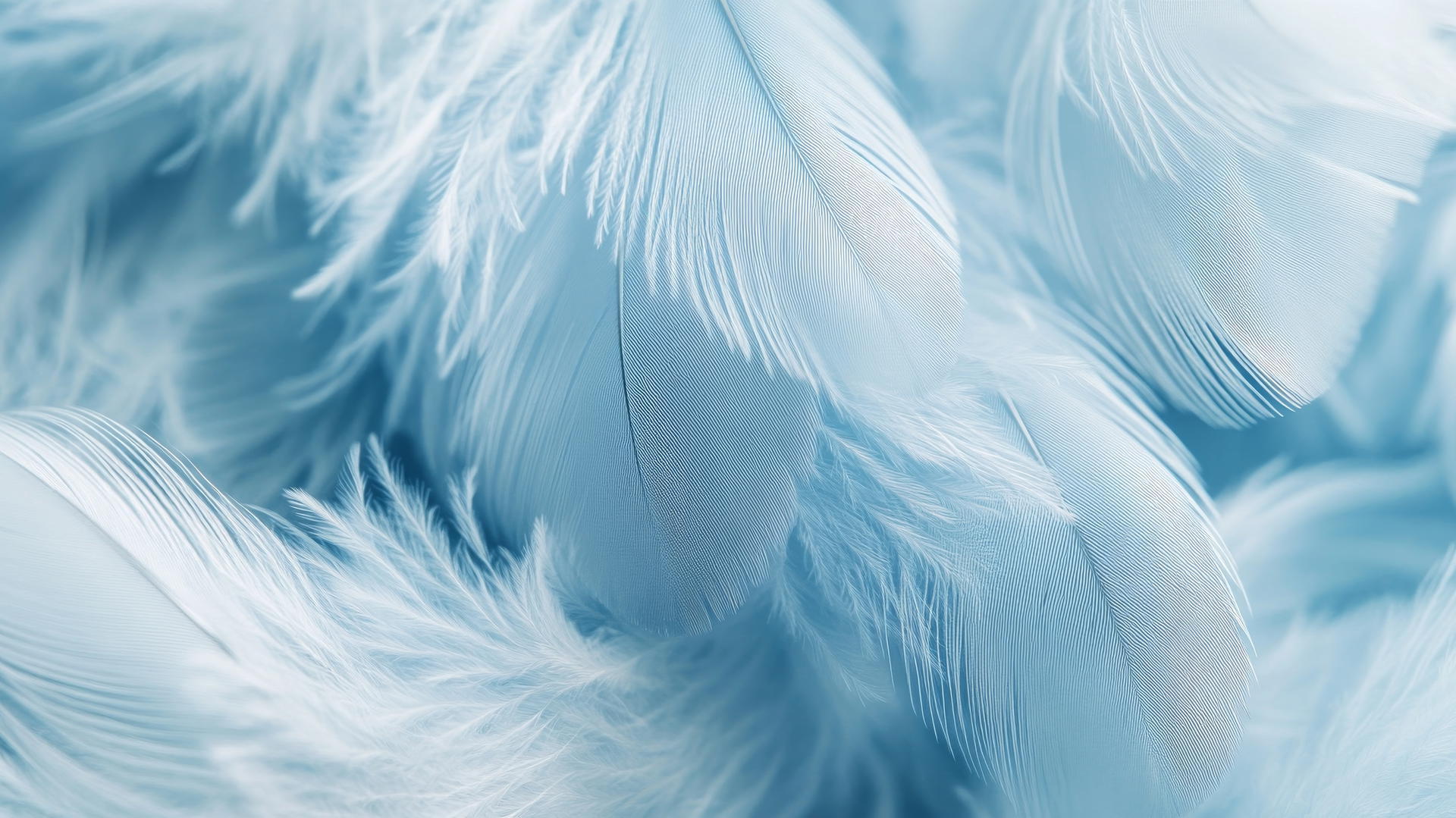 light blue wallpaper with a delicate texture of layered feathers