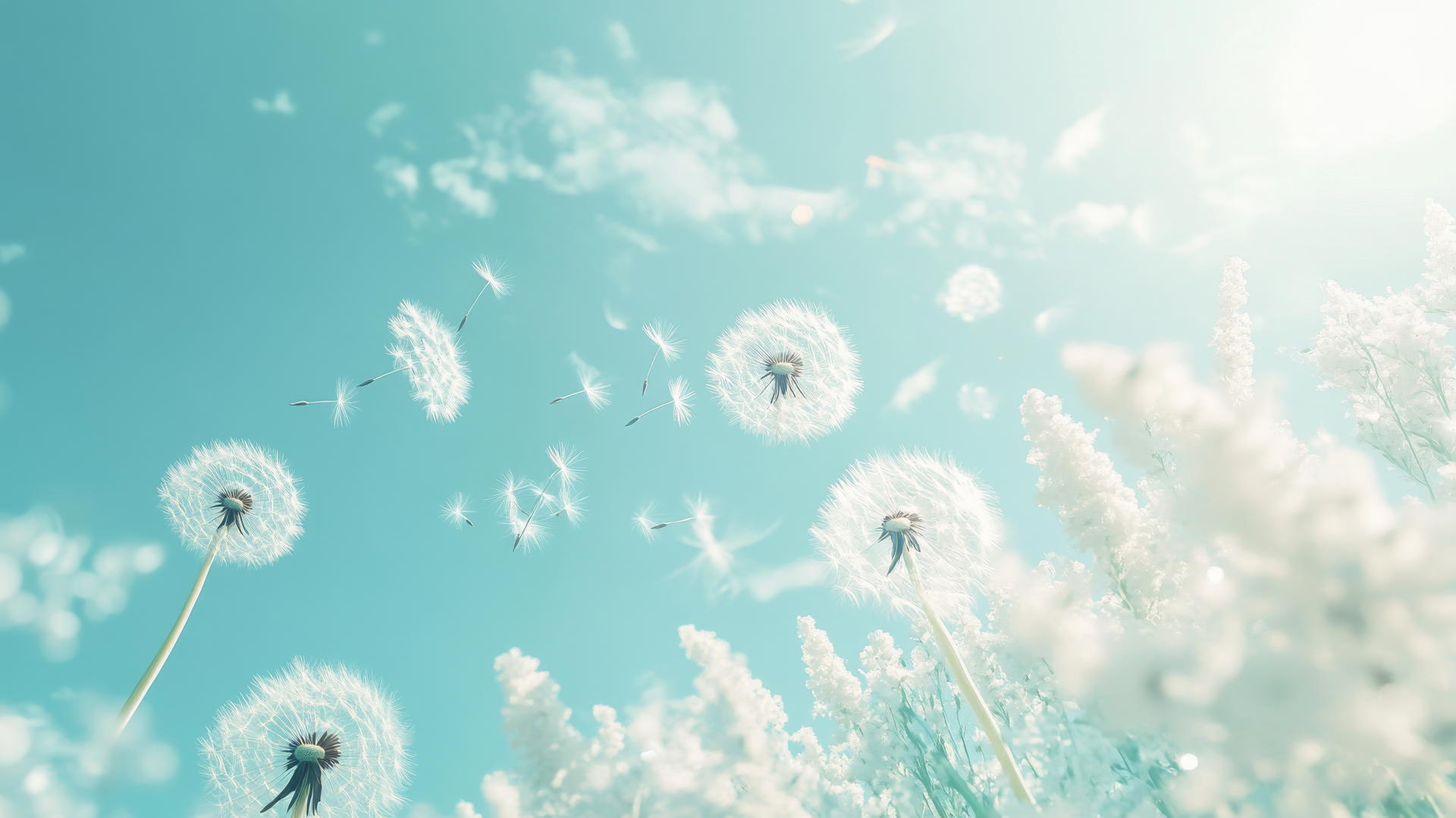 light blue wallpaper with dandelion seeds blowing in the wind