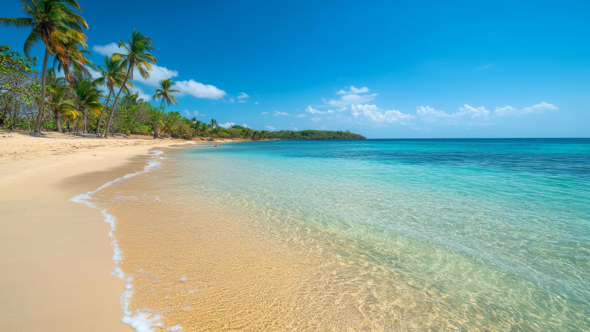 wallpaper beach with golden sand, clear water, and palm trees swaying