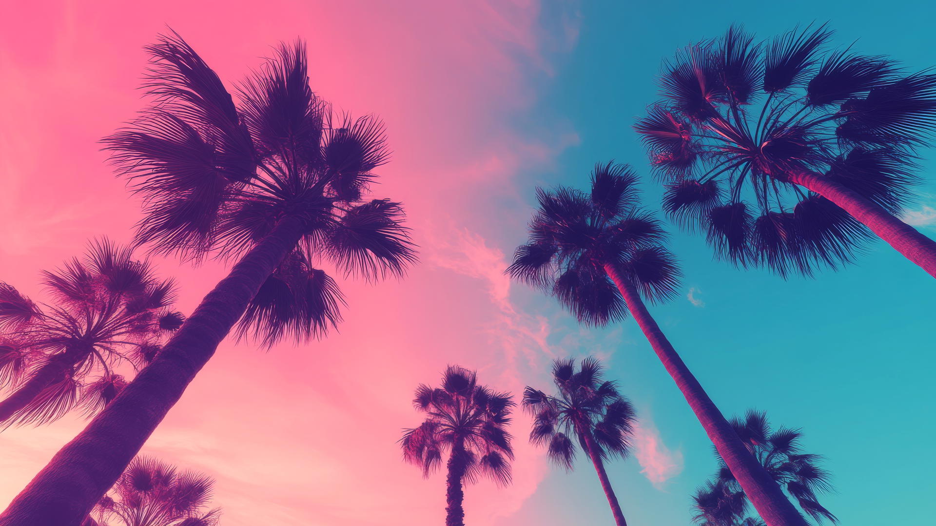 Minimalist summer aesthetic wallpaper with palm tree silhouettes and gradient sky