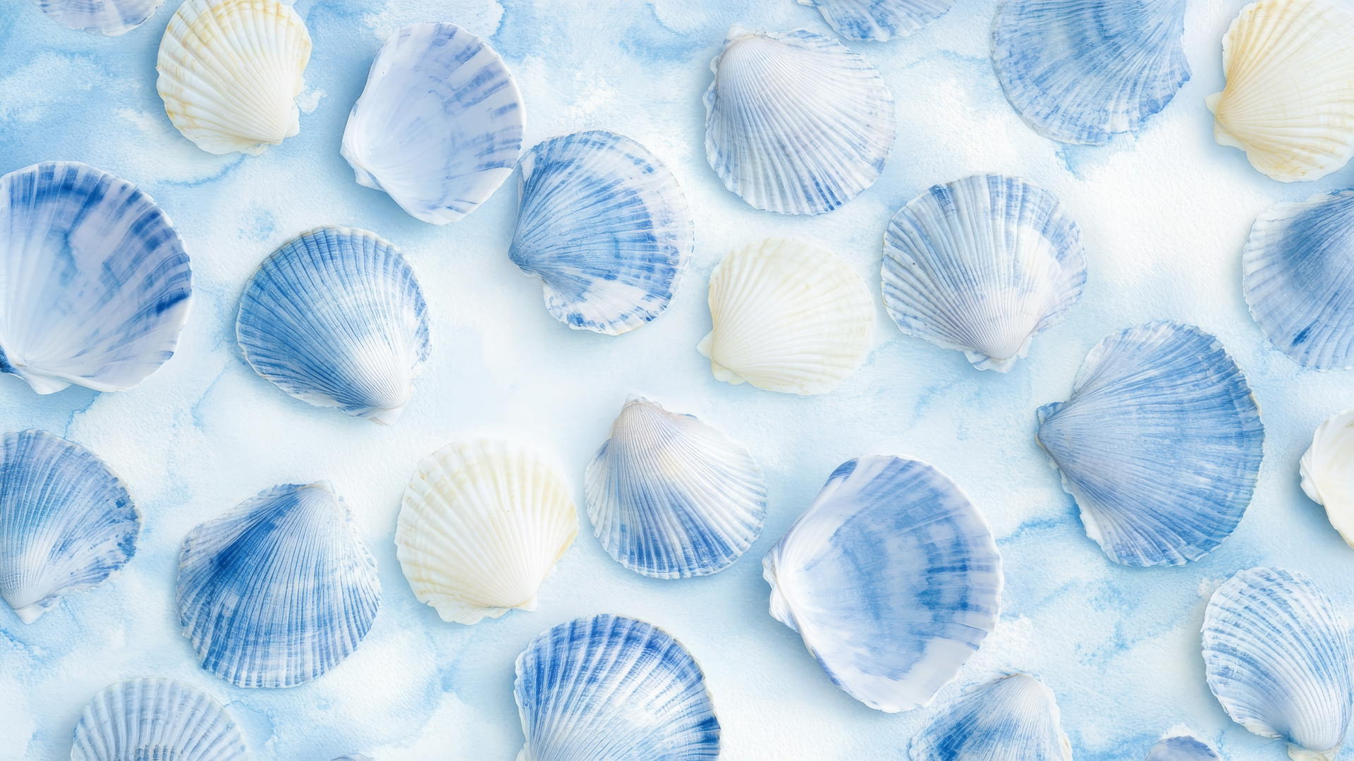 preppy blue wallpaper with watercolor seashells on pastel blue background