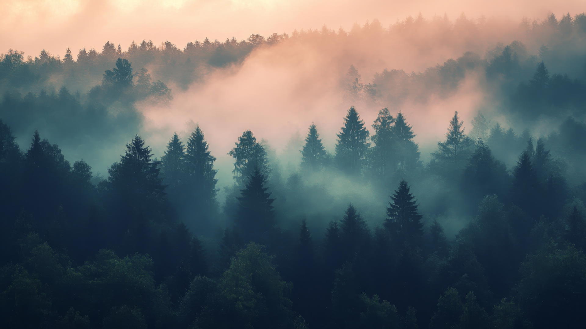nature aesthetic wallpaper featuring a foggy forest at dawn with ethereal glow