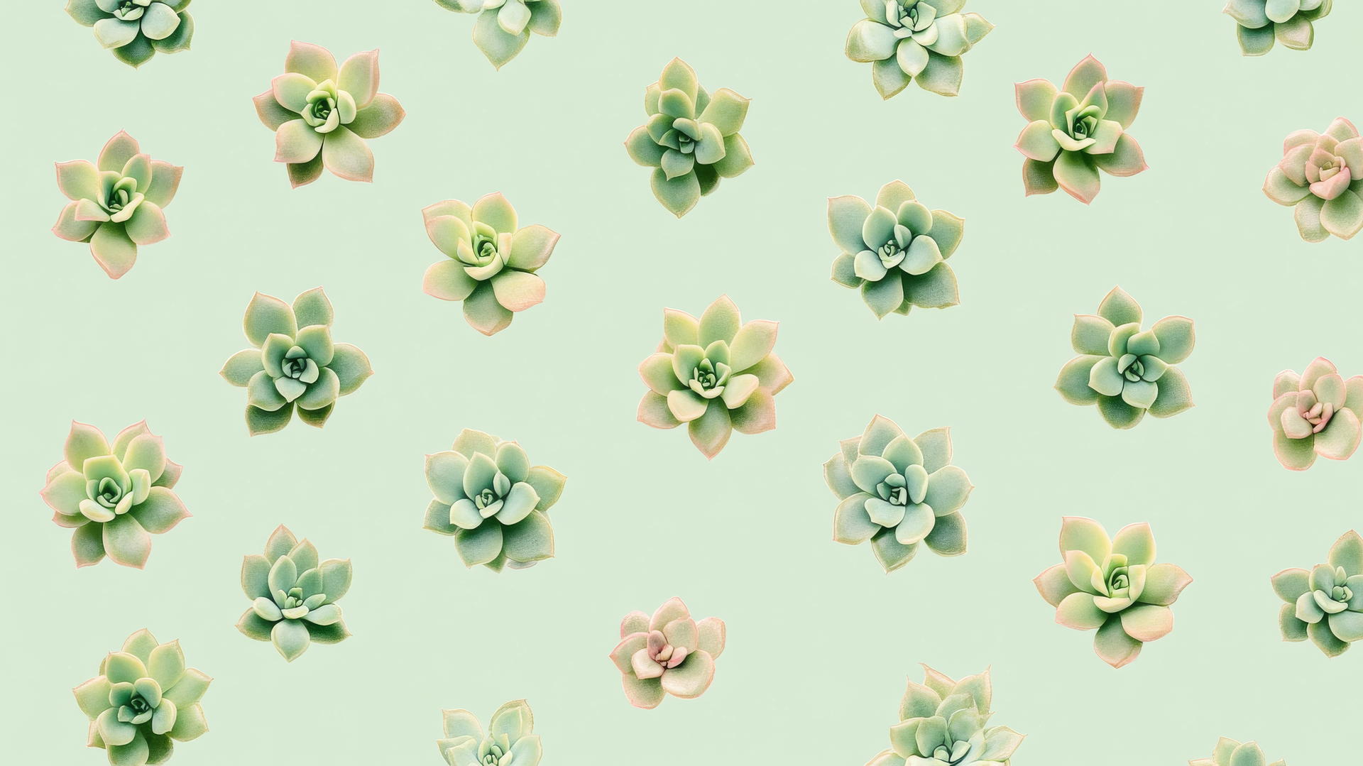 Cute green wallpaper with tiny succulents in pastel green and pink.