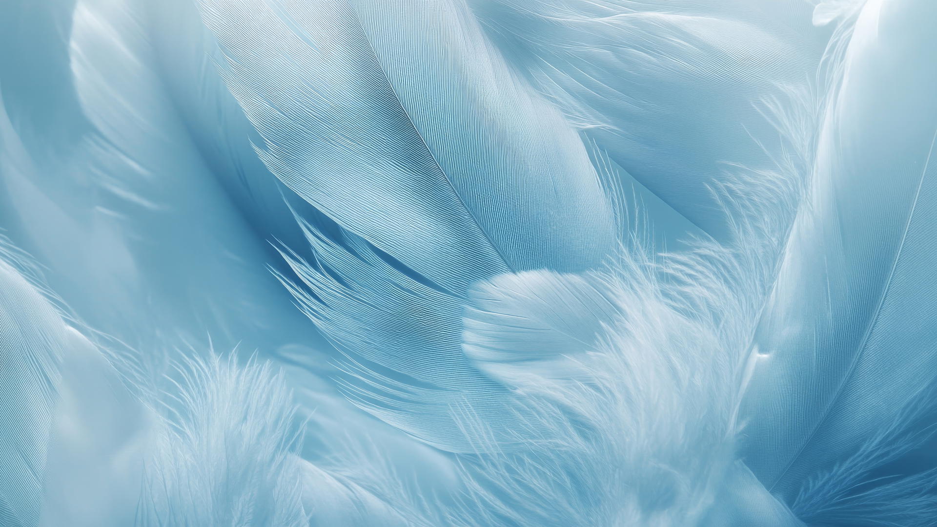 light blue wallpaper with delicate feathery texture