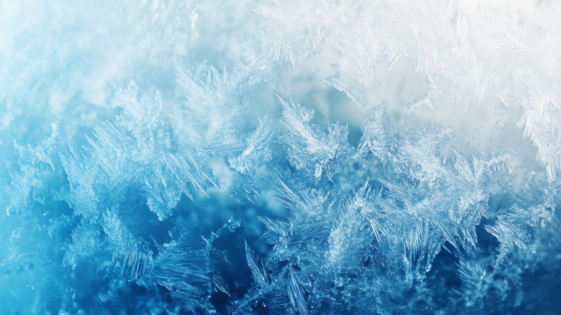 wallpaper blue frosty window pane with intricate ice crystals
