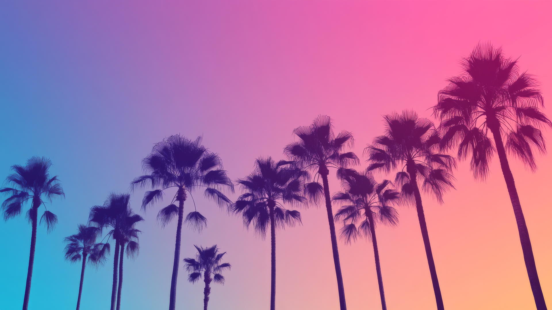 summer aesthetic wallpaper with palm tree silhouettes against a pink to blue gradient sky