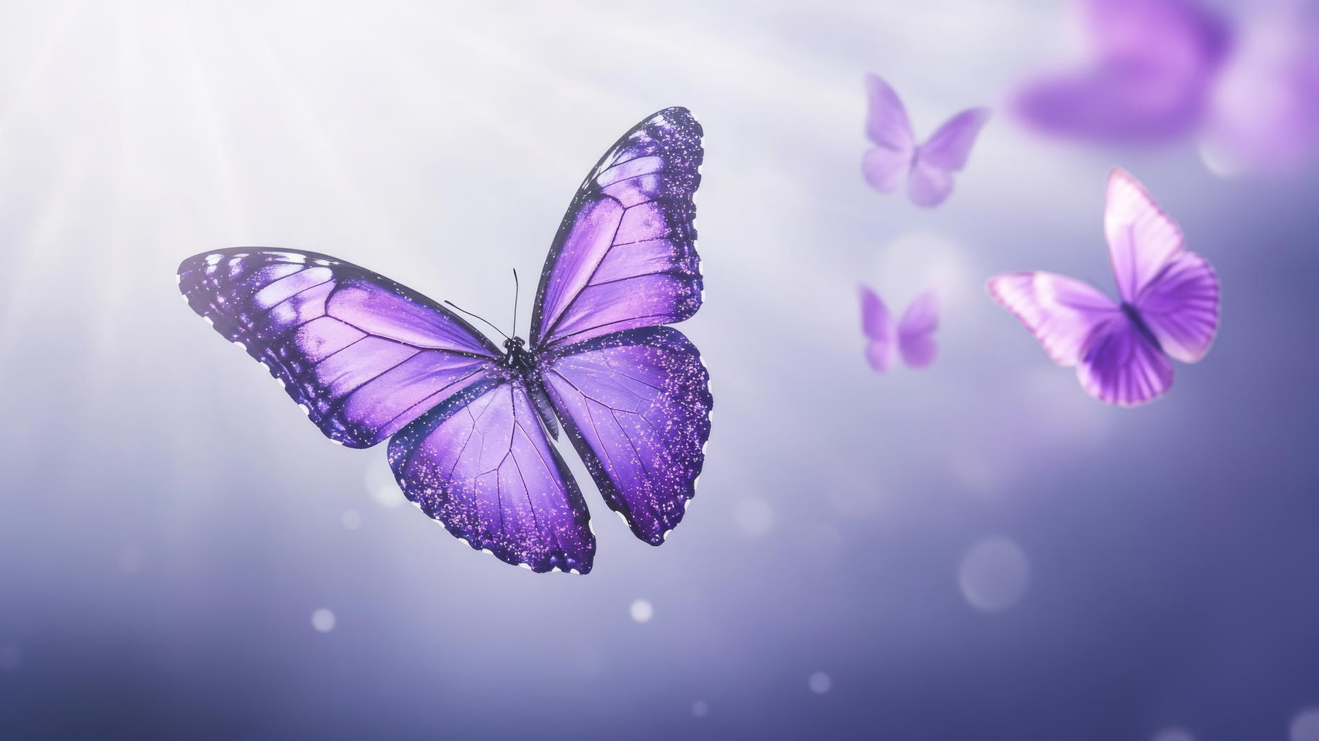 purple butterfly wallpaper with glittering wings against a pastel purple background