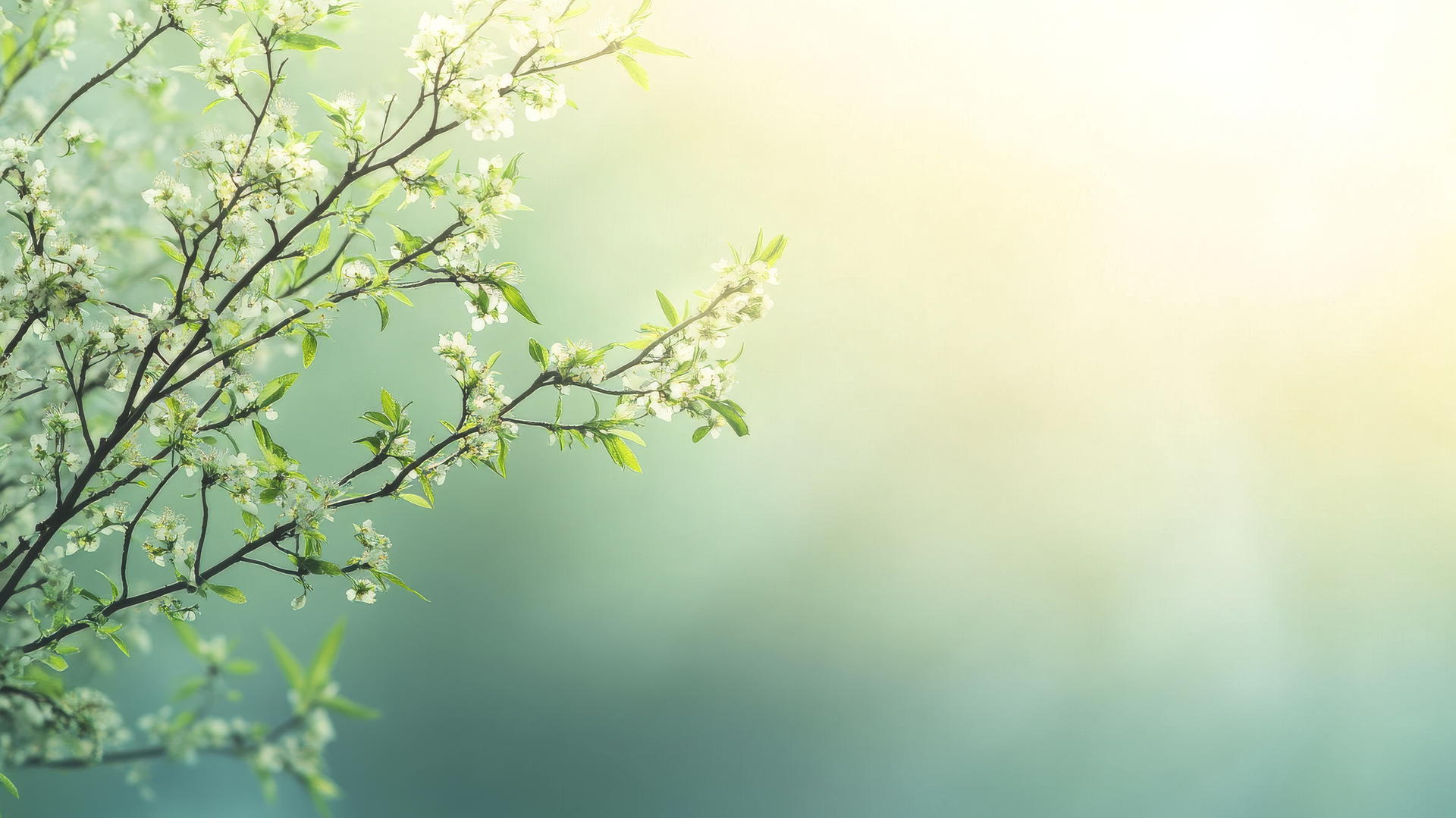 spring wallpaper with branches, new growth, and blossoms against a soft sky