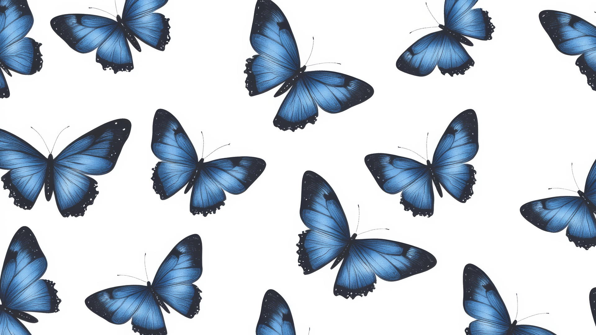 preppy wallpaper with small blue butterflies on white