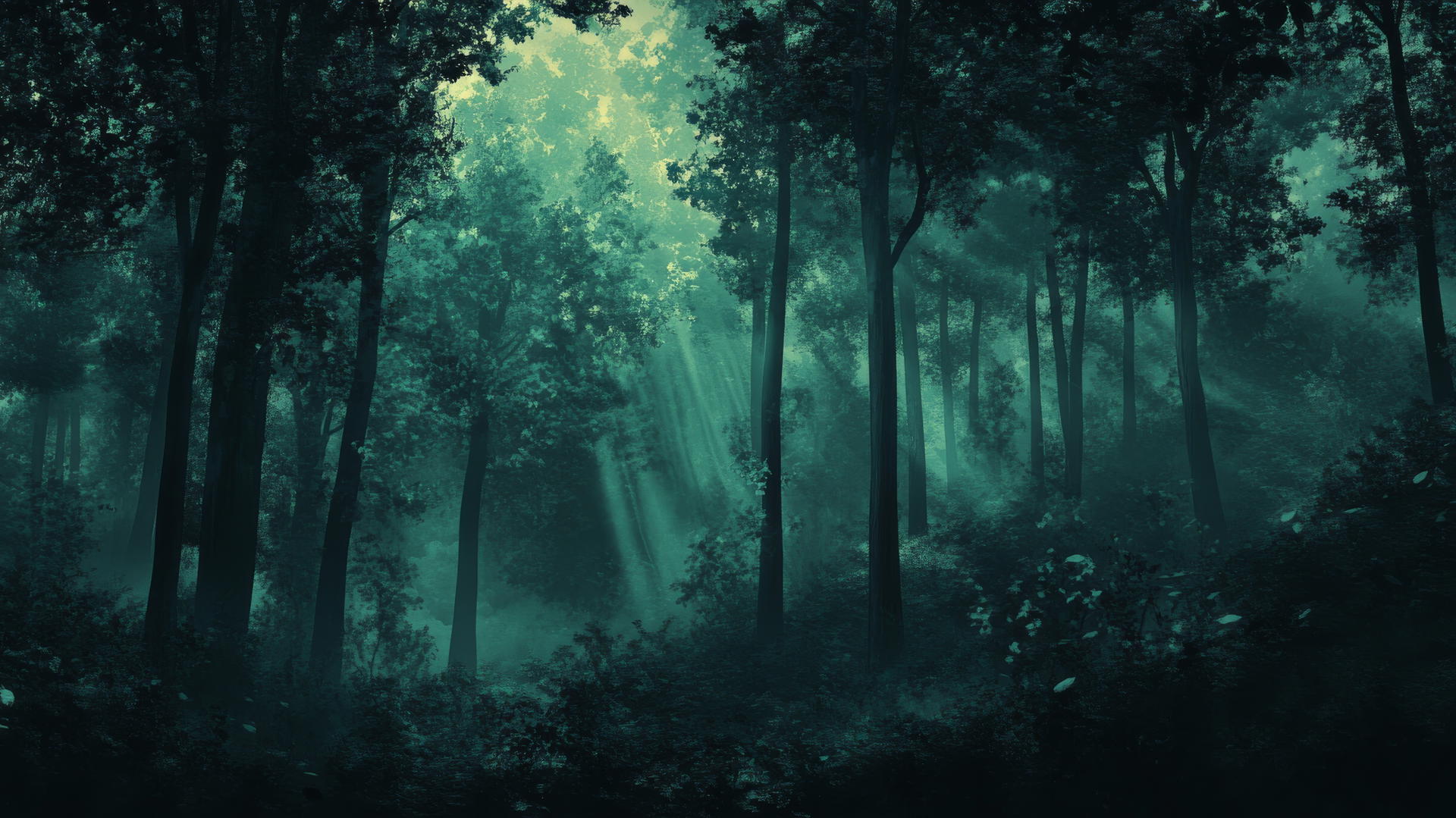 dark green wallpaper featuring a dusk forest with shadows and soft light