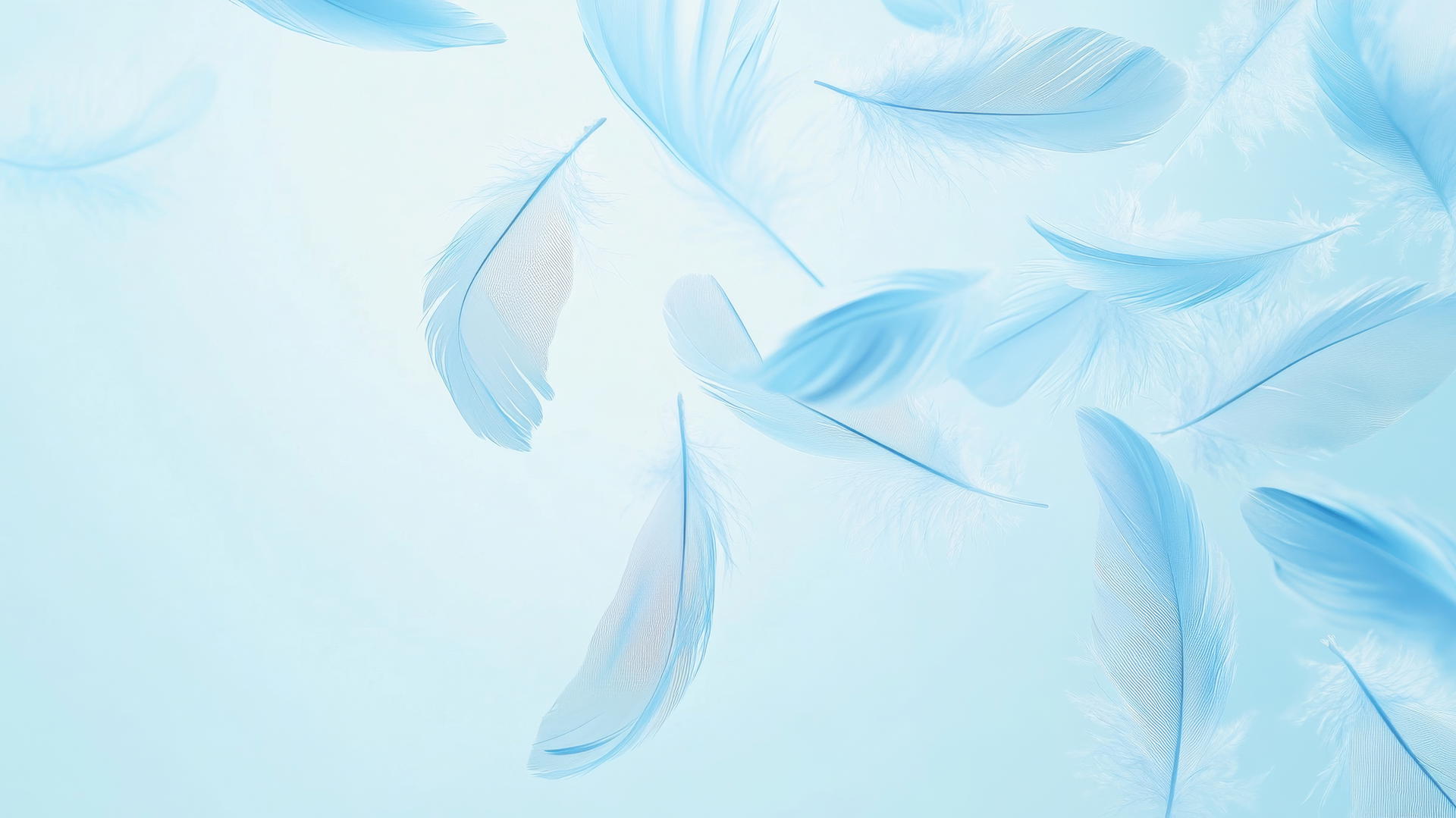 baby blue wallpaper with soft feathers drifting on light blue background