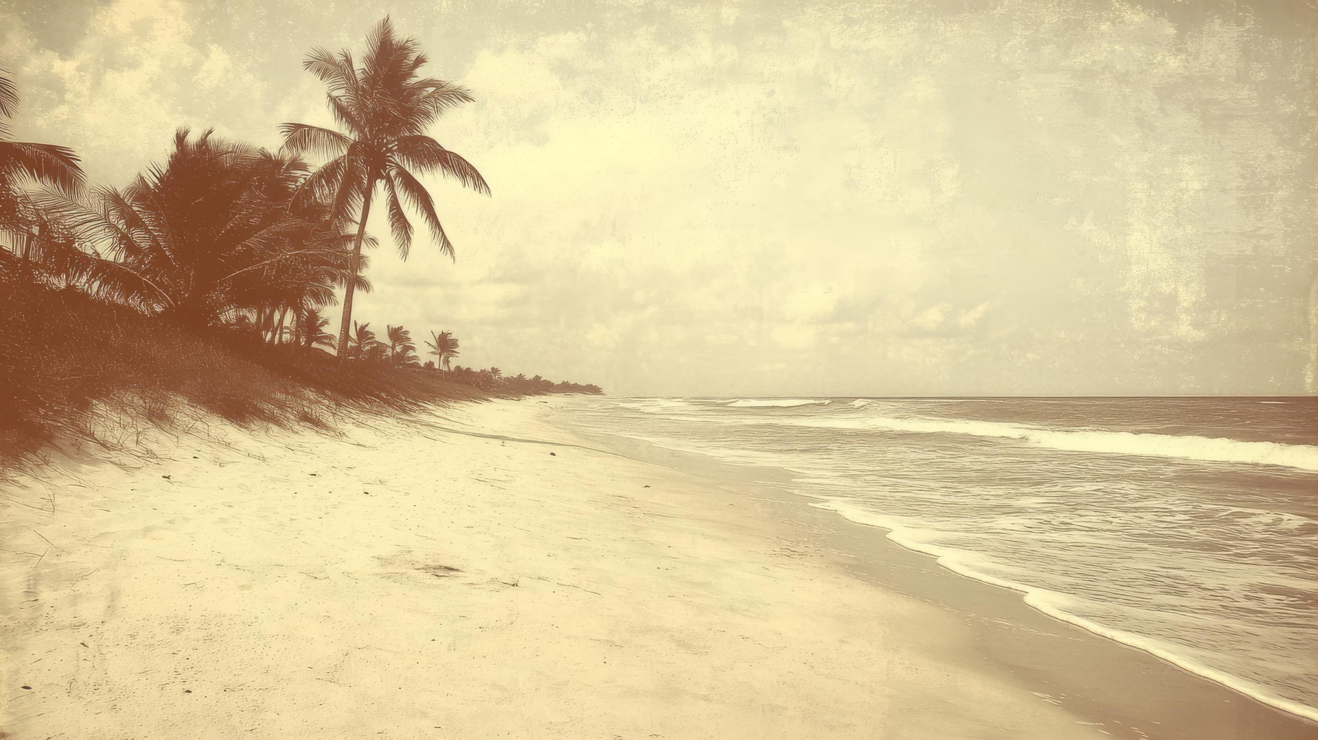 aesthetic beach wallpaper with sepia tones and distant palm trees