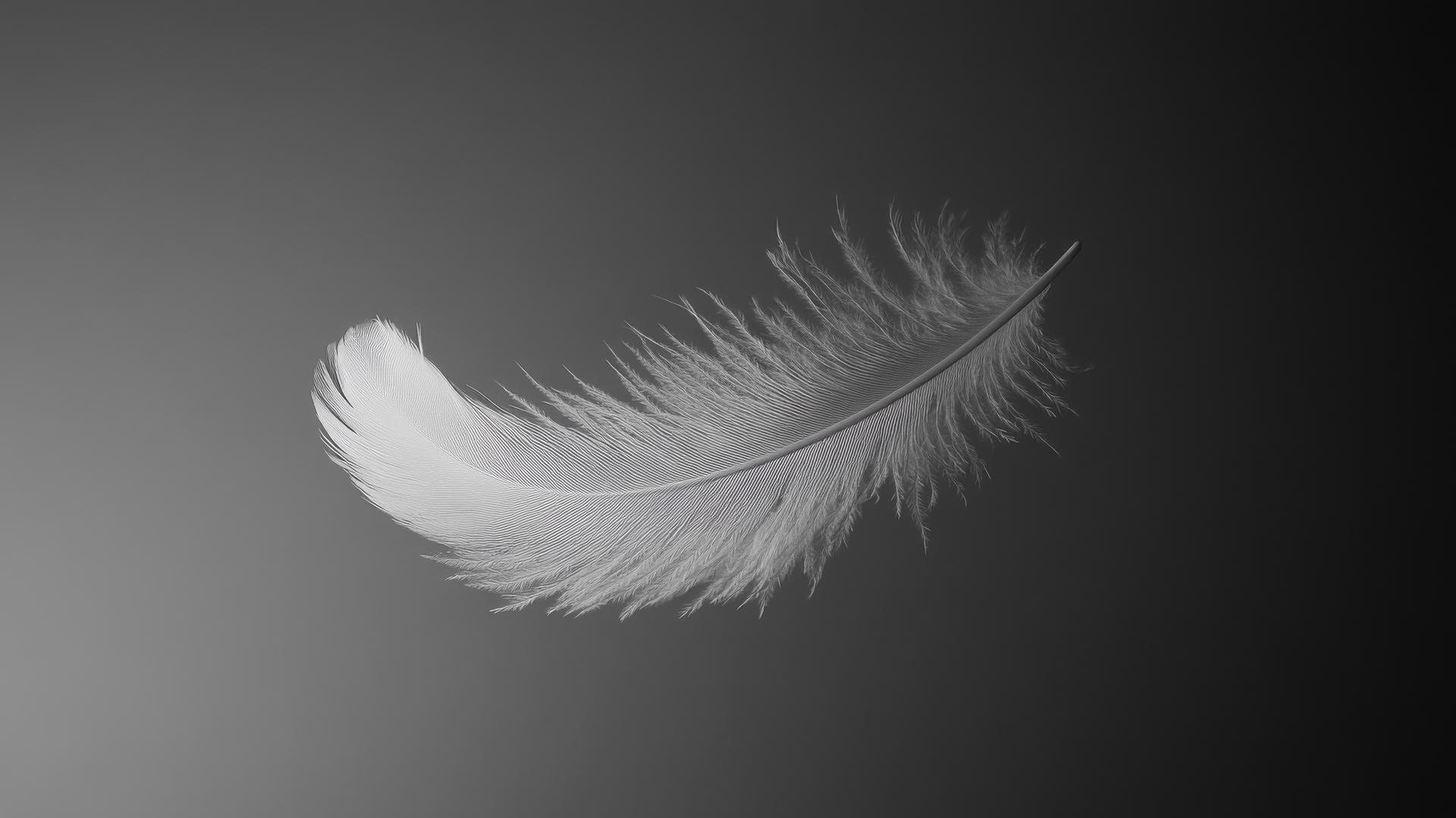 A delicate feather floating with soft edges, black and white aesthetic wallpaper