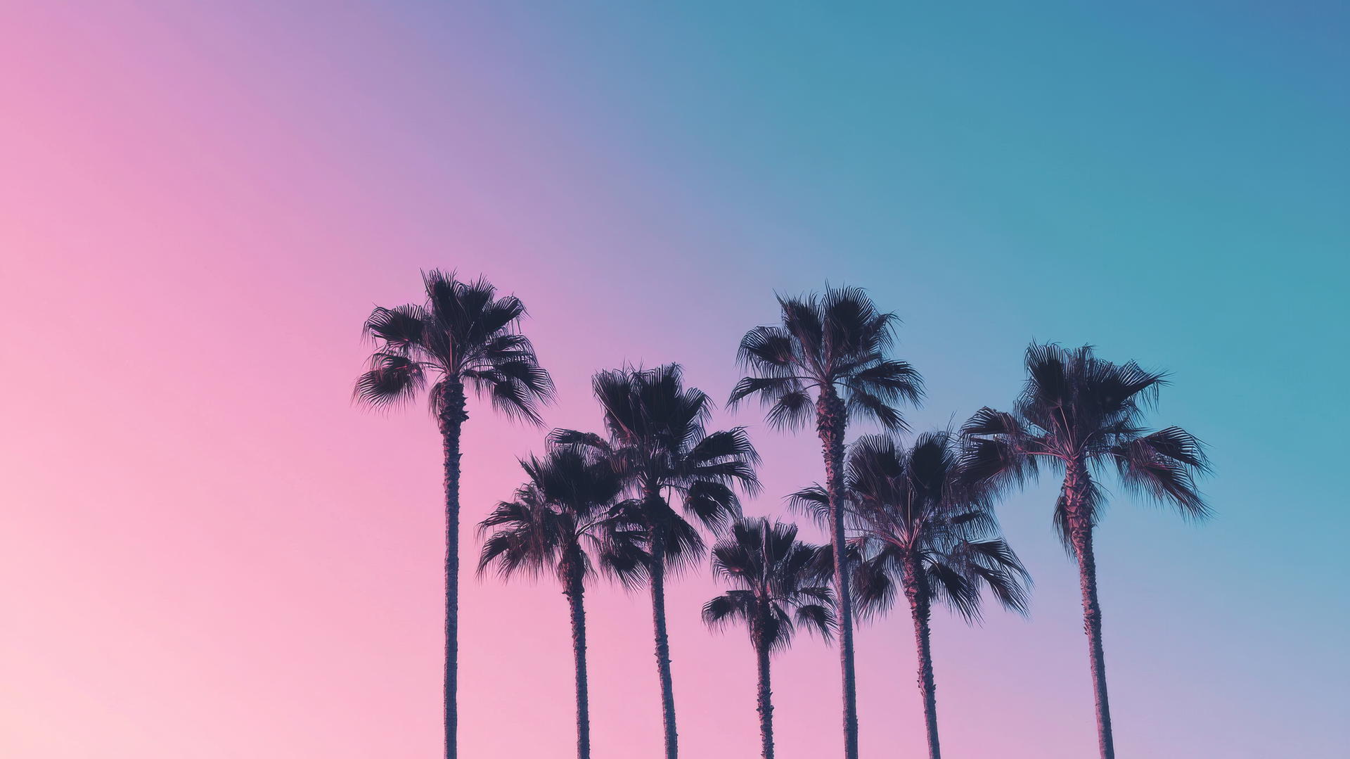 summer aesthetic wallpaper with palm tree silhouettes against a gradient sky