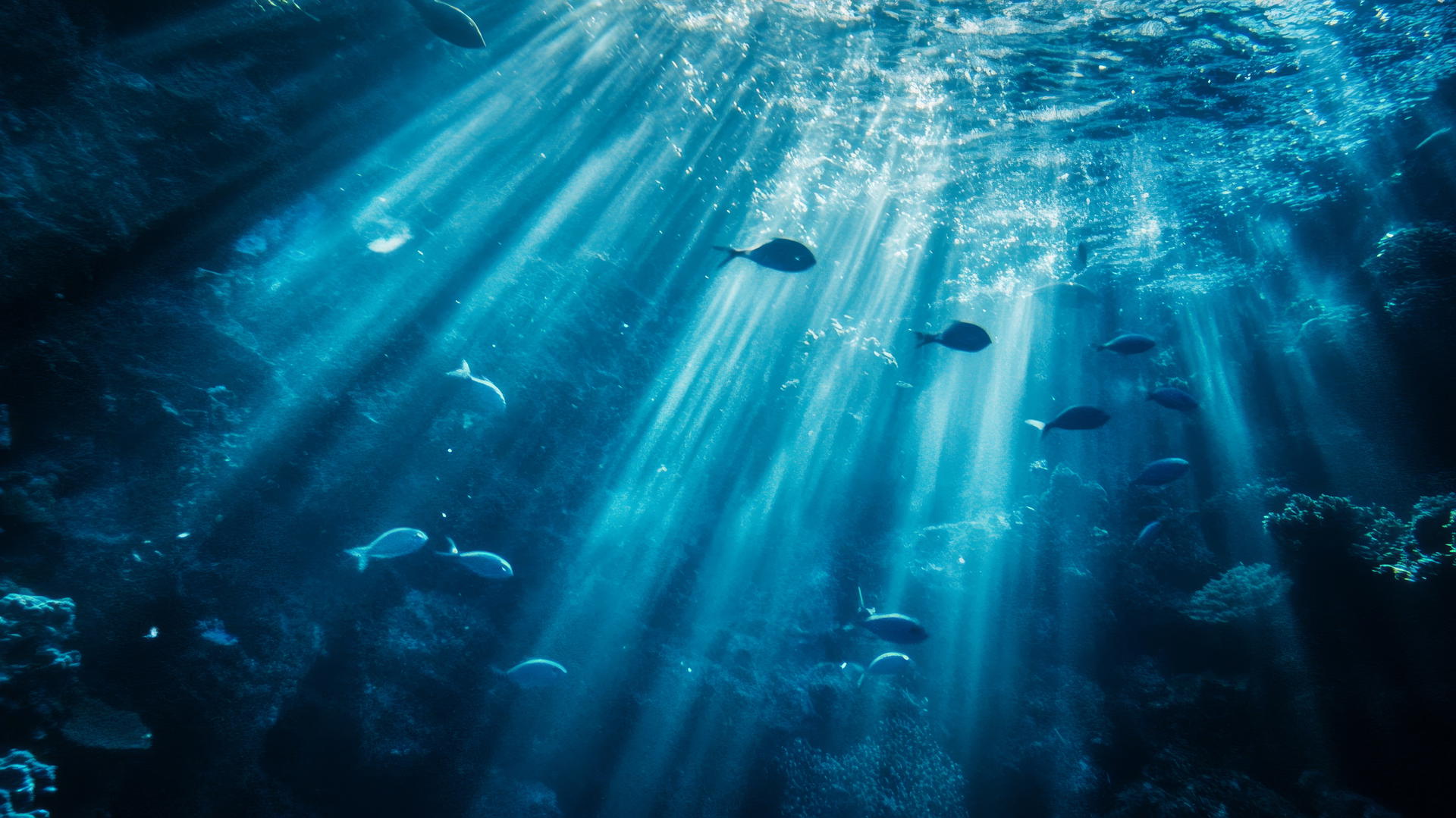 Blue wallpaper with light beams and small schools of fish underwater