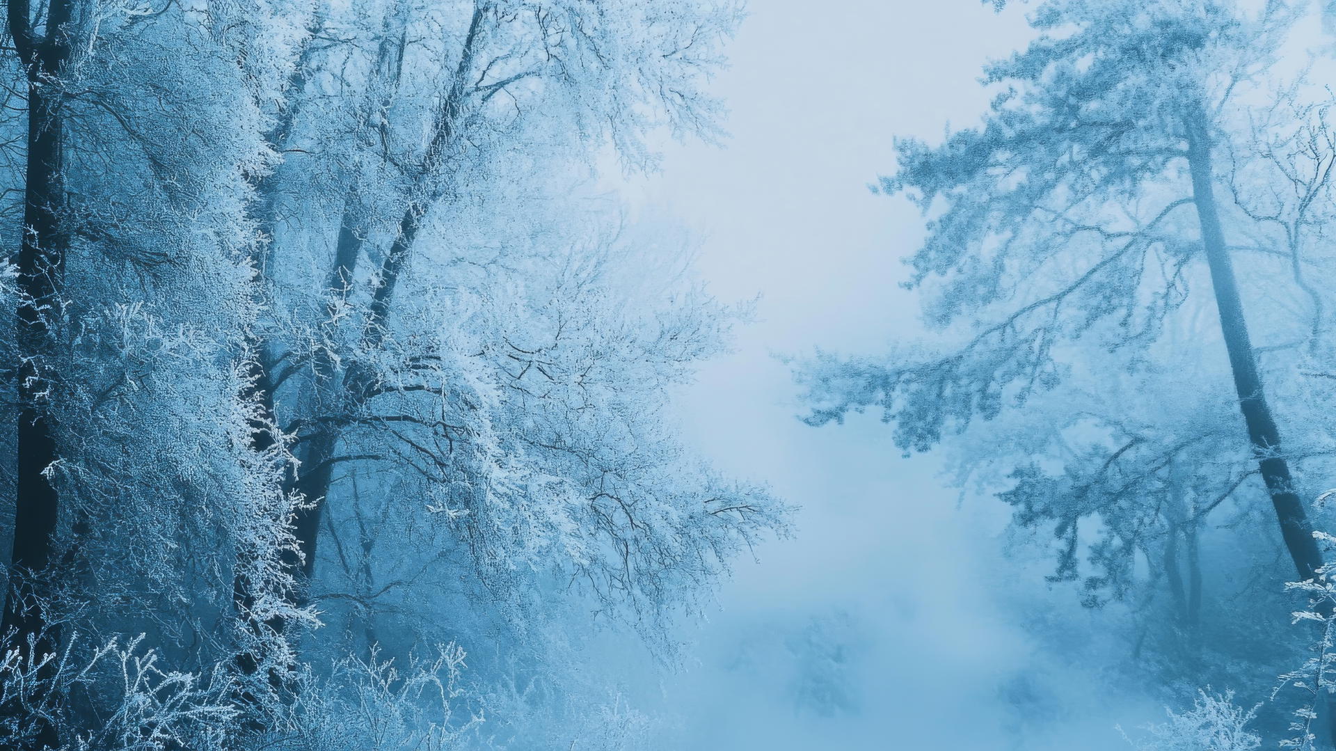 blue aesthetic wallpaper of a frosty winter forest with blue-tinted trees