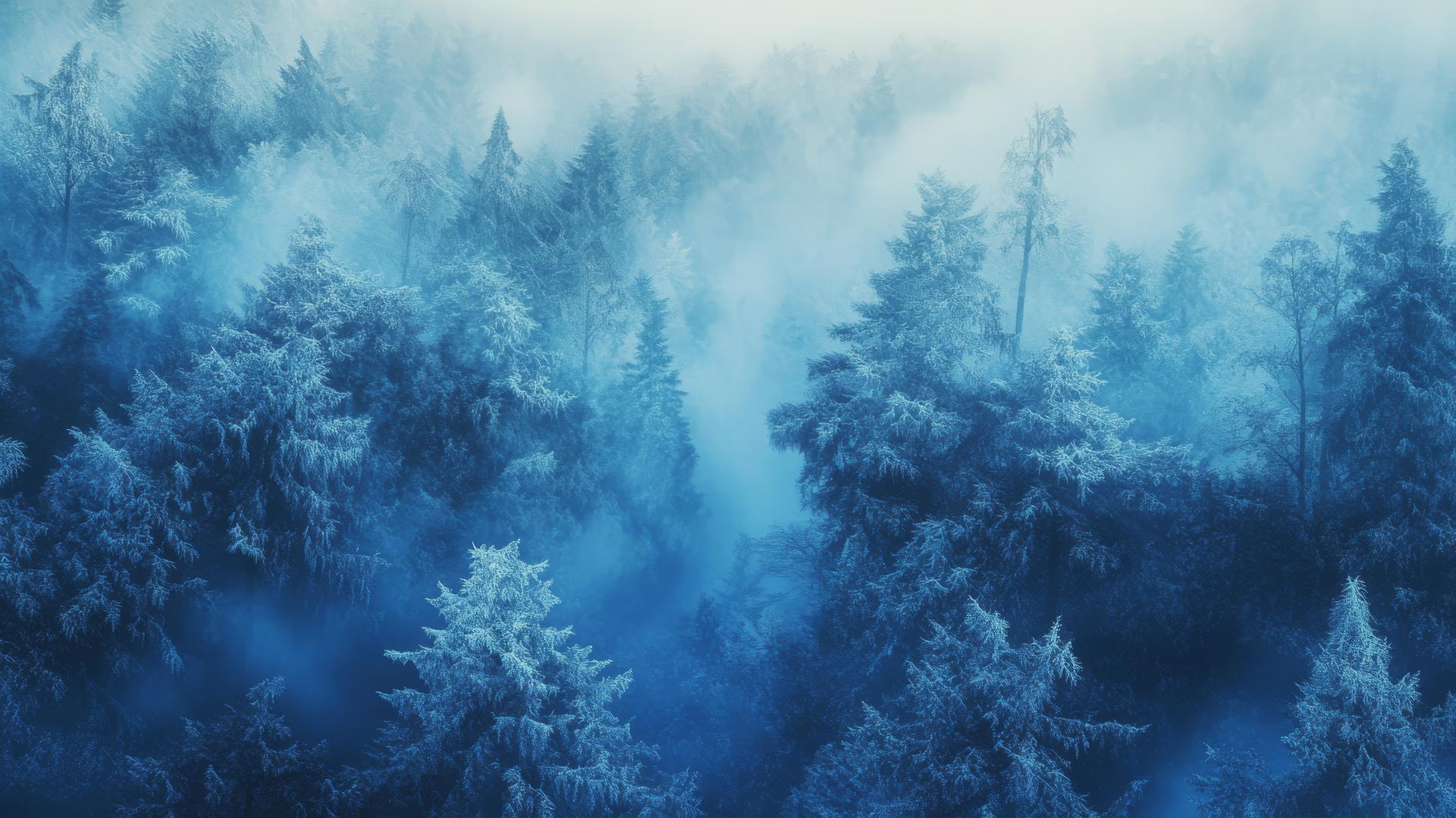 blue aesthetic wallpaper of winter forest with frost-covered trees and blue mist