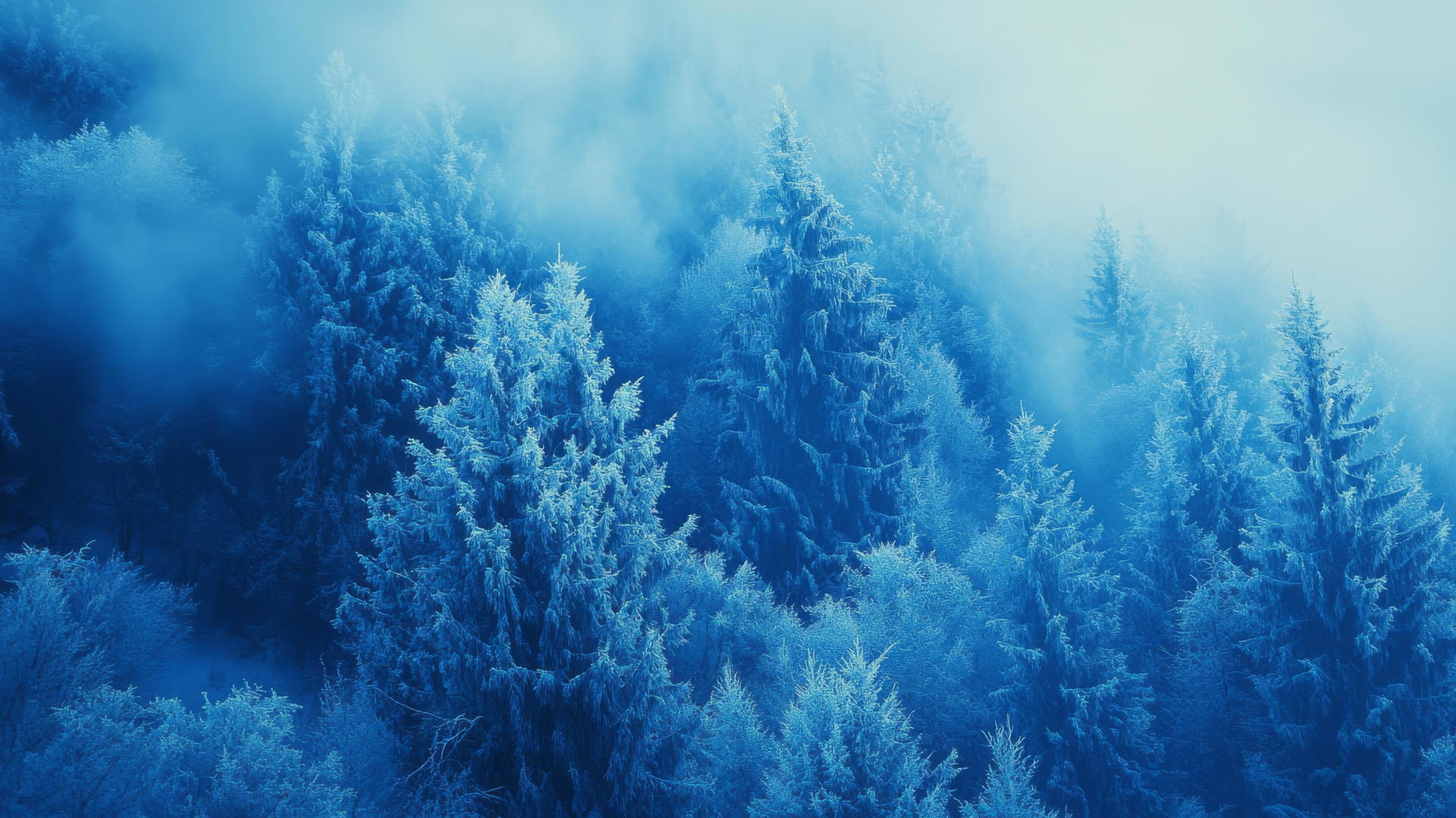 Blue aesthetic wallpaper of a winter forest with frost-covered trees and a soft blue mist.