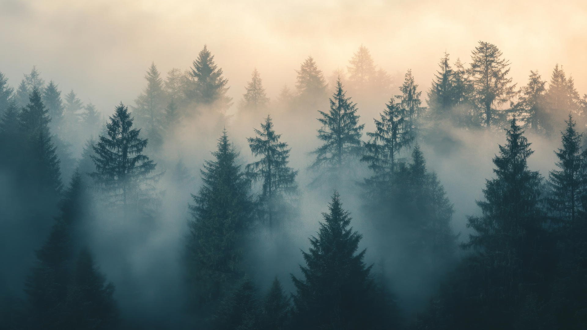 nature aesthetic wallpaper with a foggy forest at dawn, ethereal glow through trees