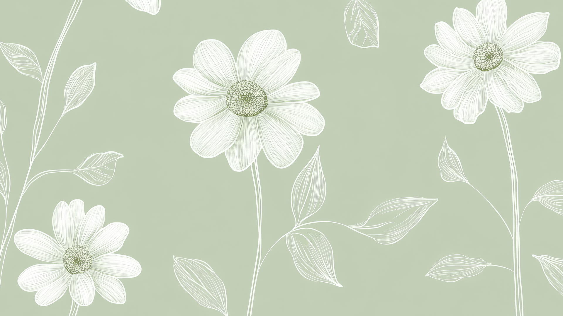A minimalist green floral wallpaper, simple white line drawings of daisies and leaves on sage green background.