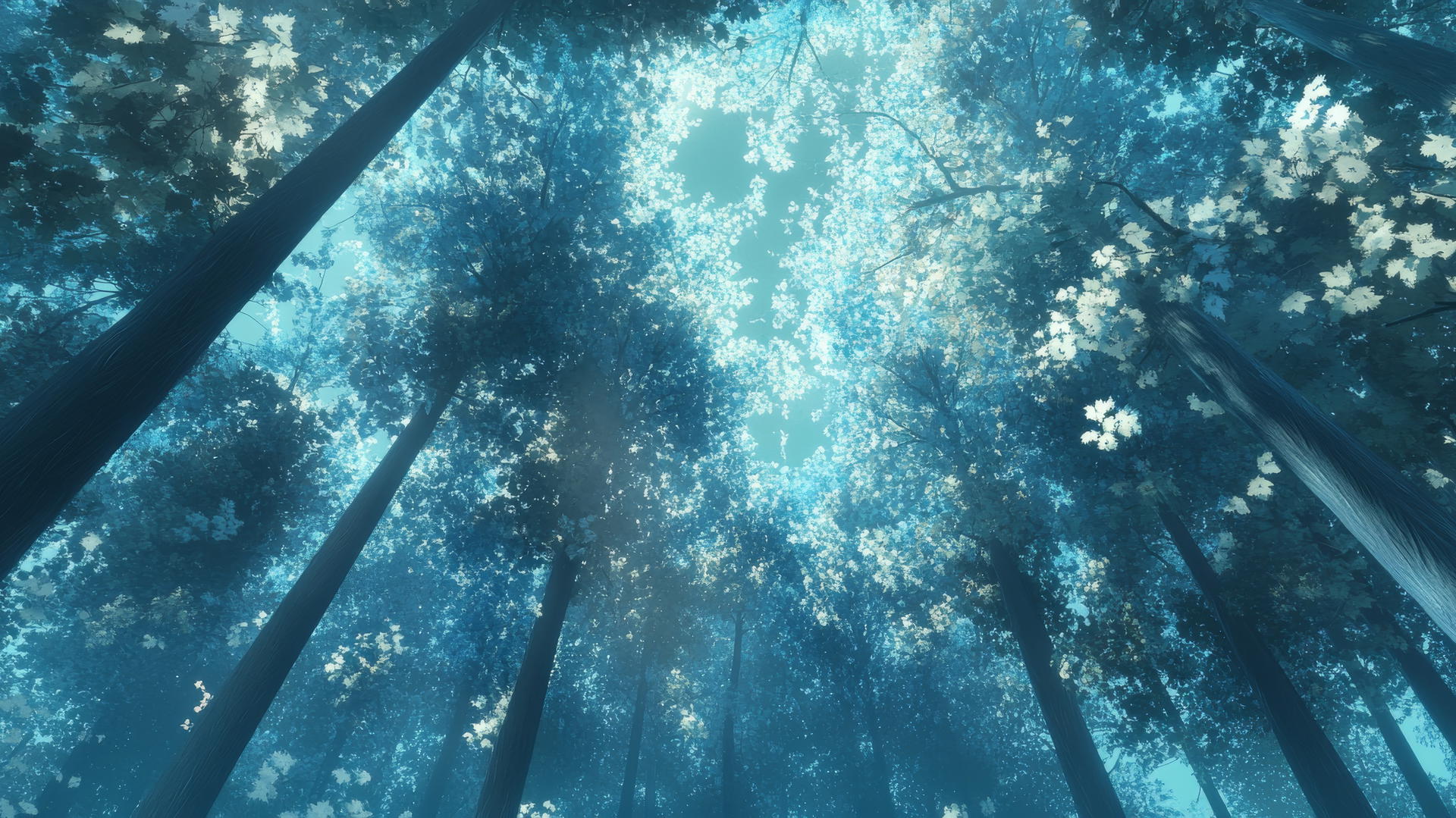 aesthetic blue wallpaper with canopy of tall trees and dappled sunlight