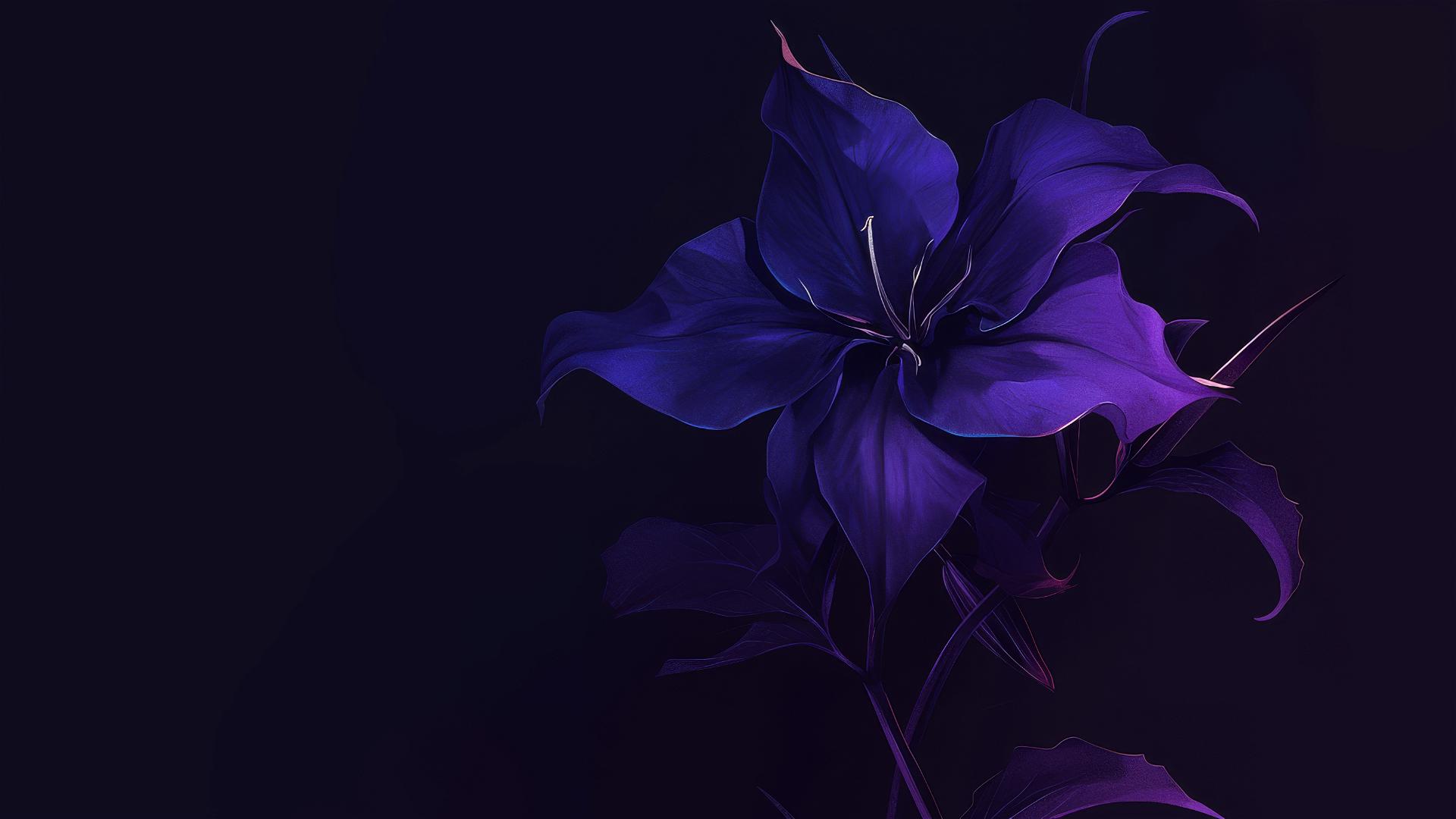 Dark violet flower on black with moonlit edges