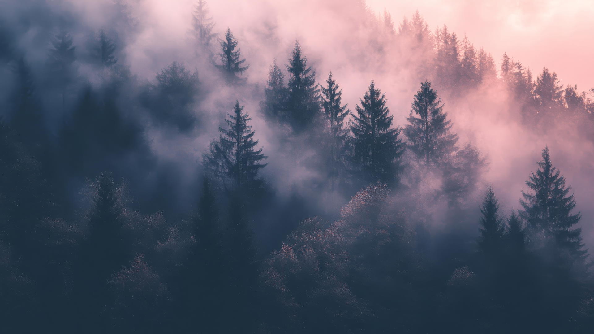 nature aesthetic wallpaper showcasing a foggy forest at dawn with soft glow