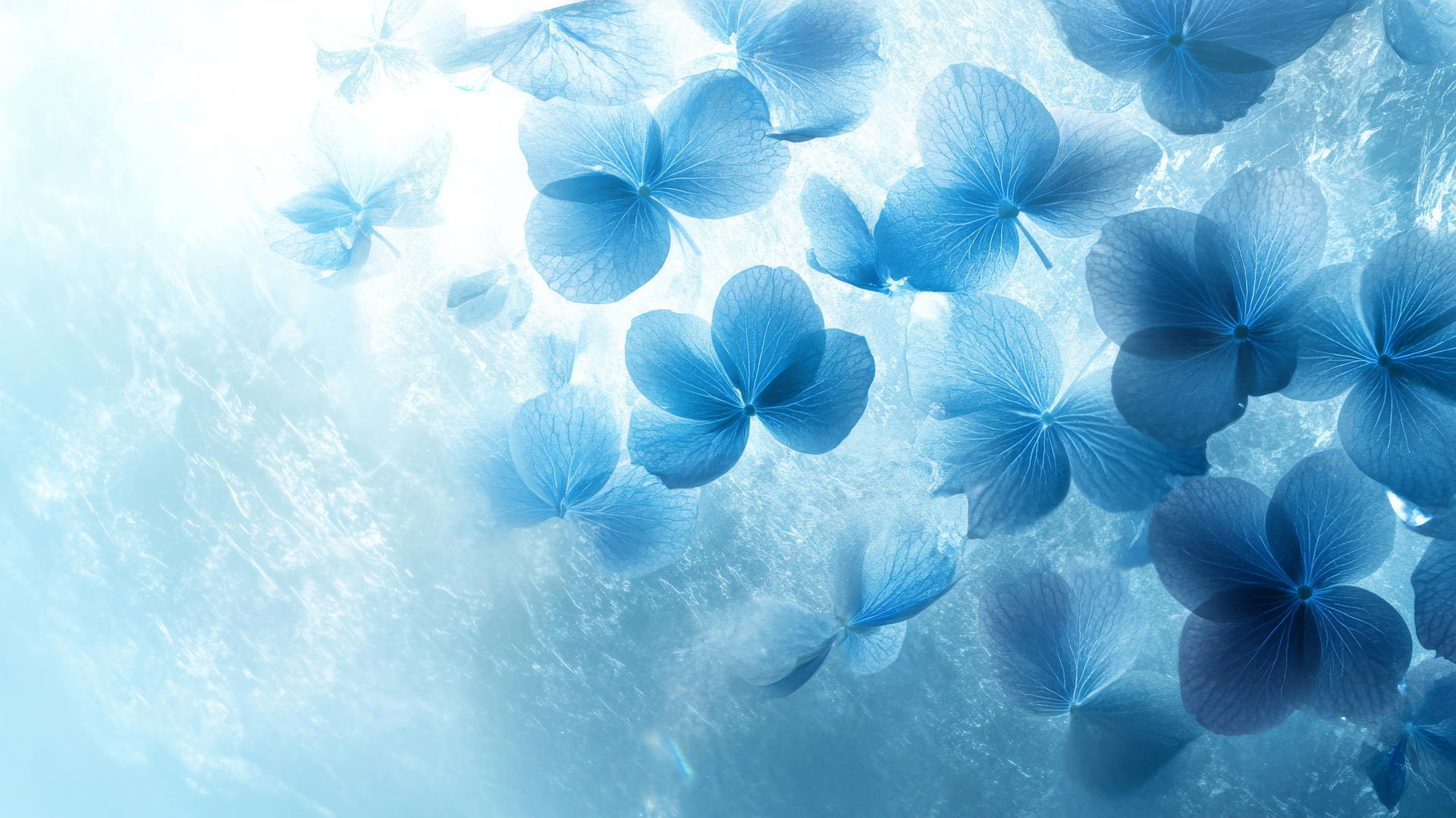 blue flower wallpaper on frosted glass with diffused light