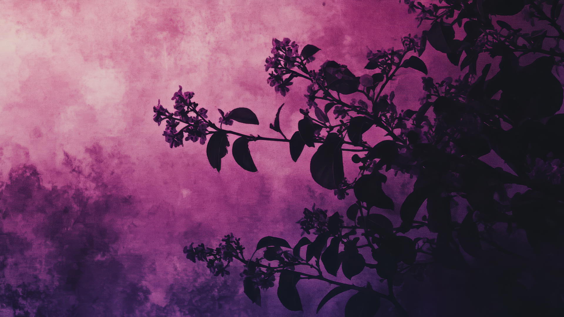 purple aesthetic wallpaper 4k with deep purples and vintage Polaroid elements