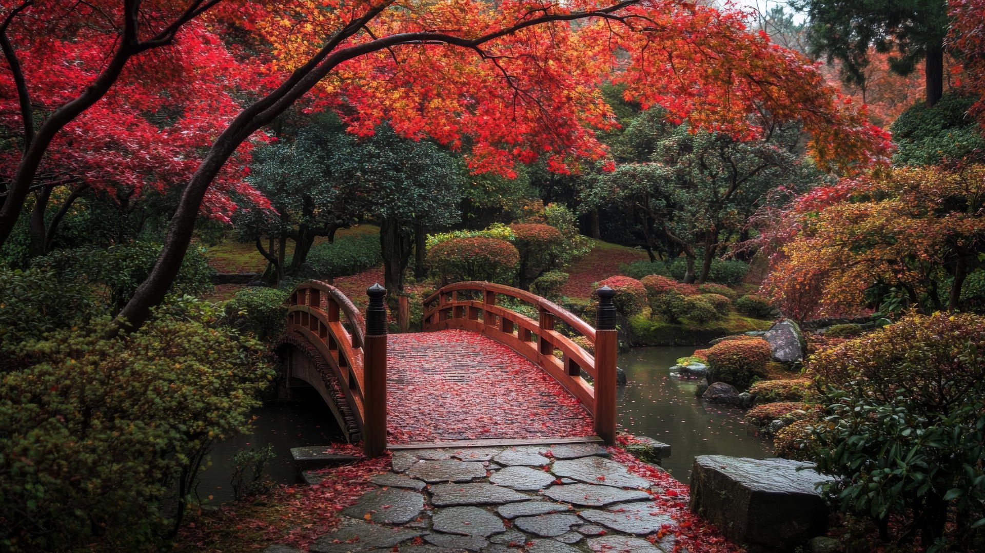 nature aesthetic wallpaper of a Japanese garden in autumn with red maple leaves, stone path, and wooden bridge