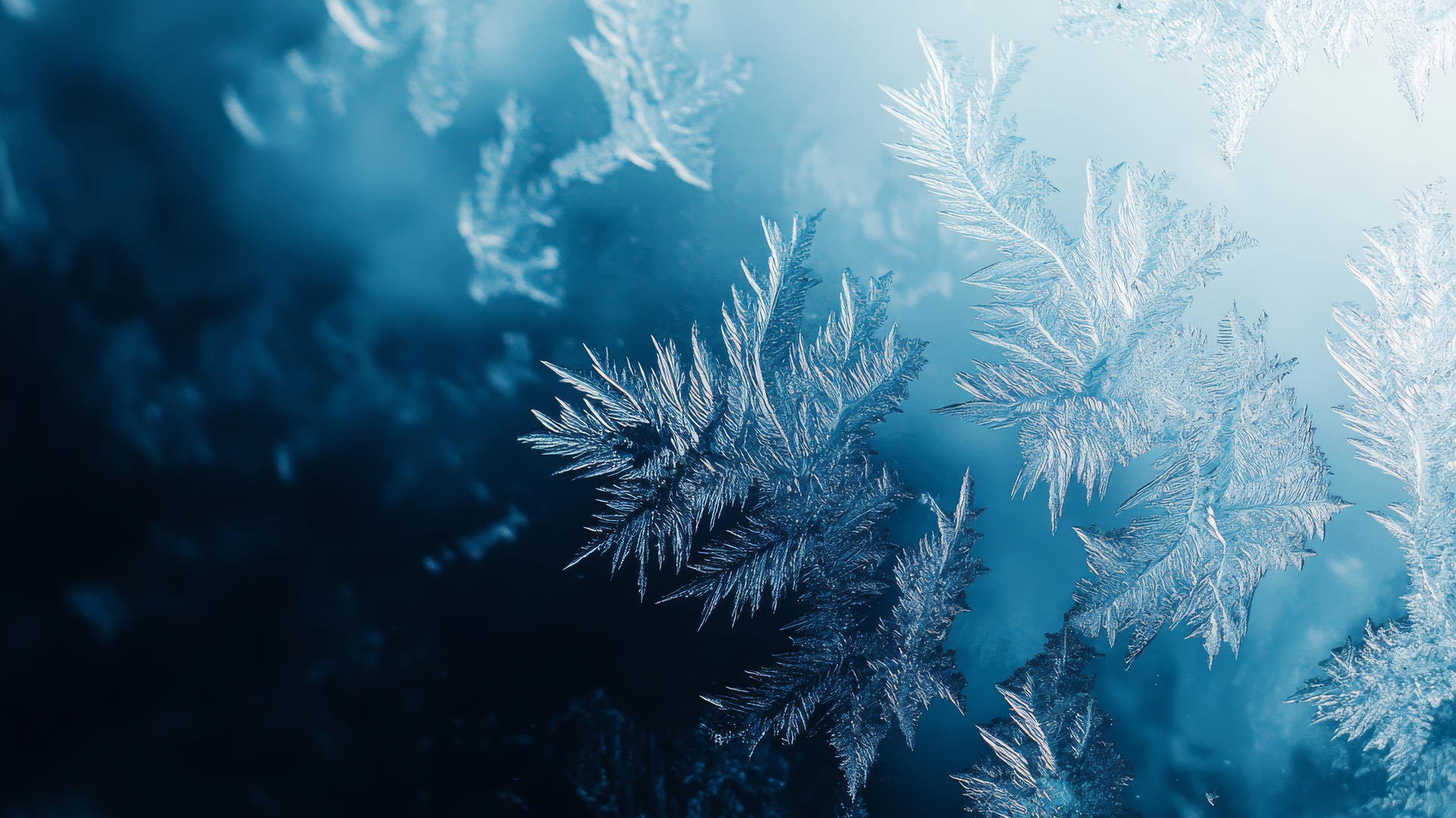 wallpaper blue frosty window with intricate ice crystal patterns