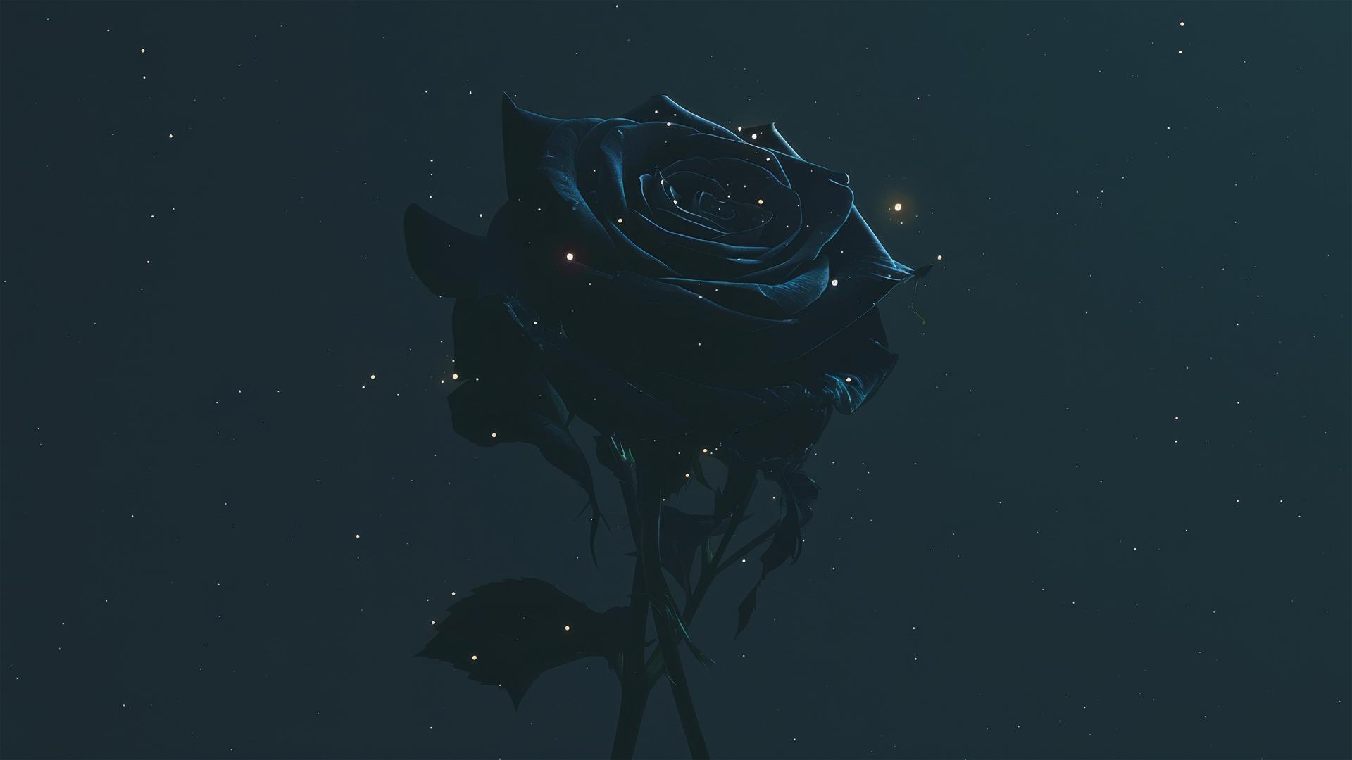 Dark silhouette of a lone black rose against a deep black backdrop, edges highlighted by starlight