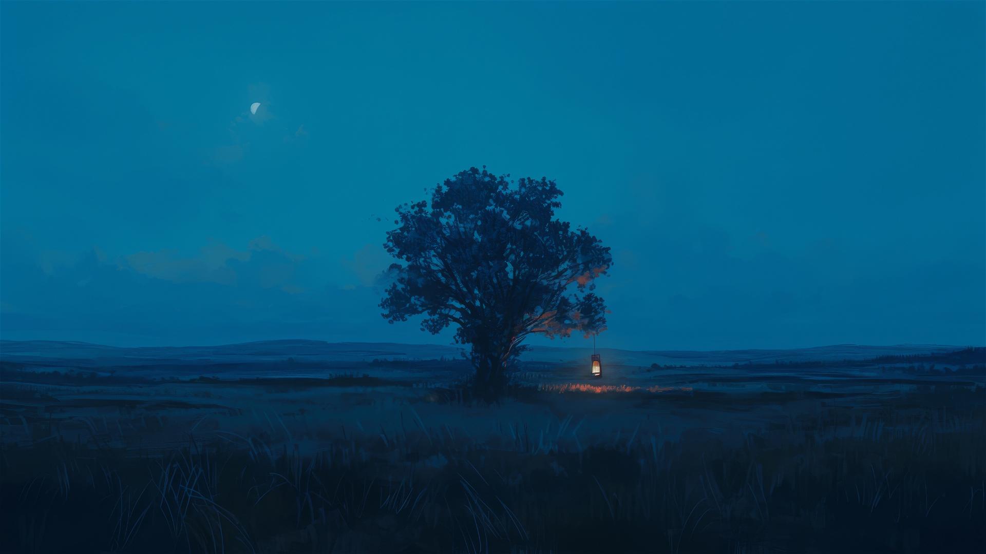 Unlit lantern hanging from tree in dark field at night