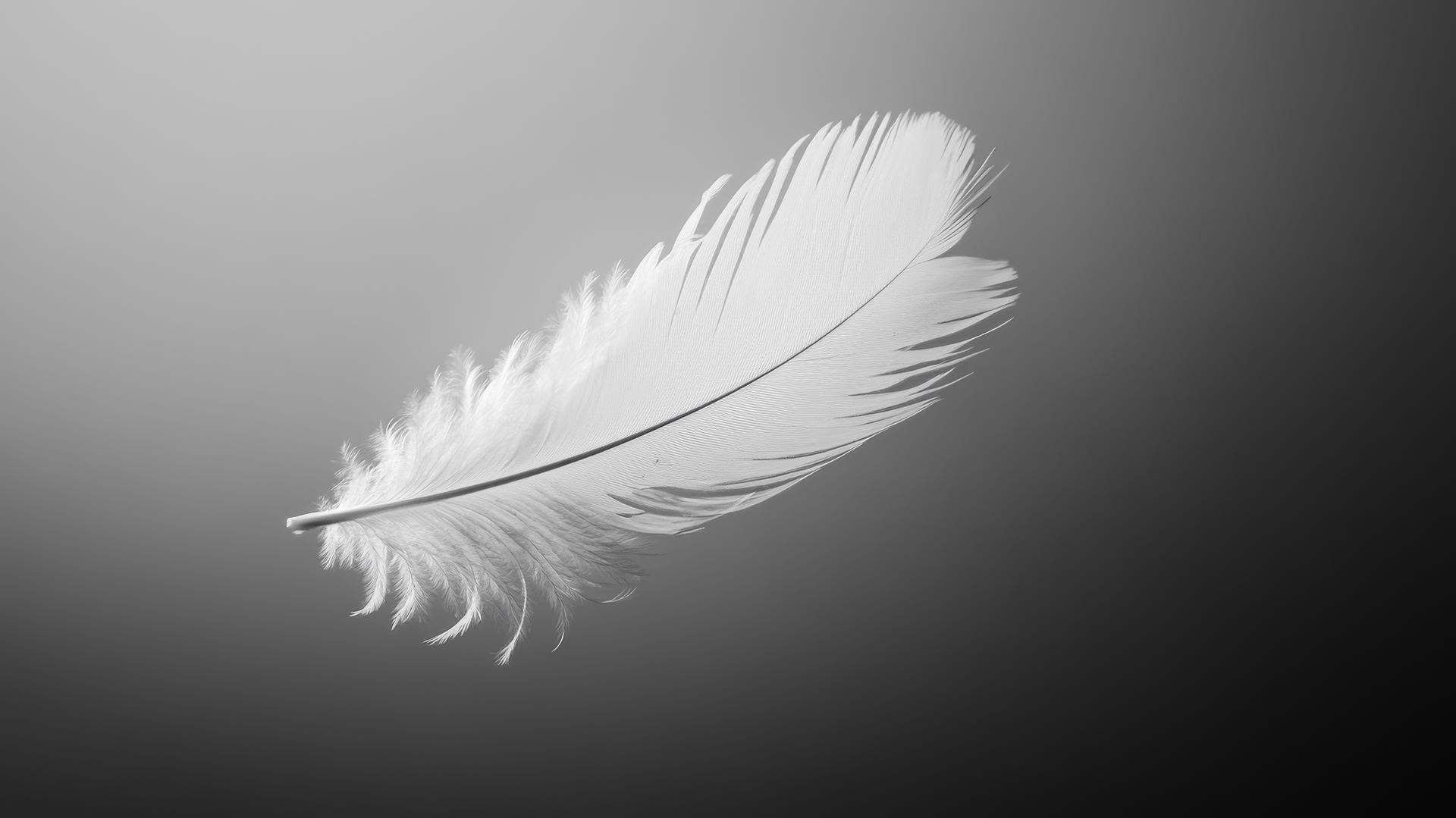 A delicate feather floating in the air with soft edges and fine details in black and white aesthetic wallpaper