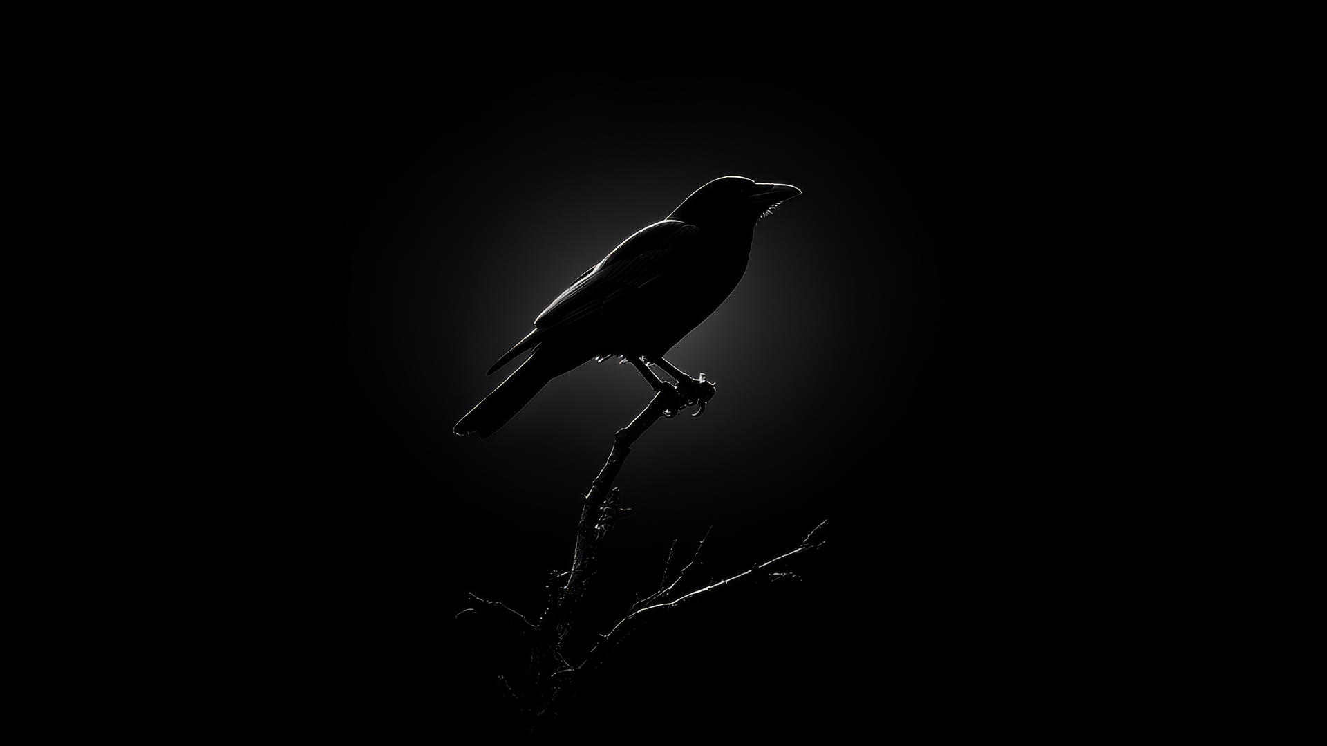 Aesthetic wallpaper black depicting a crow silhouette