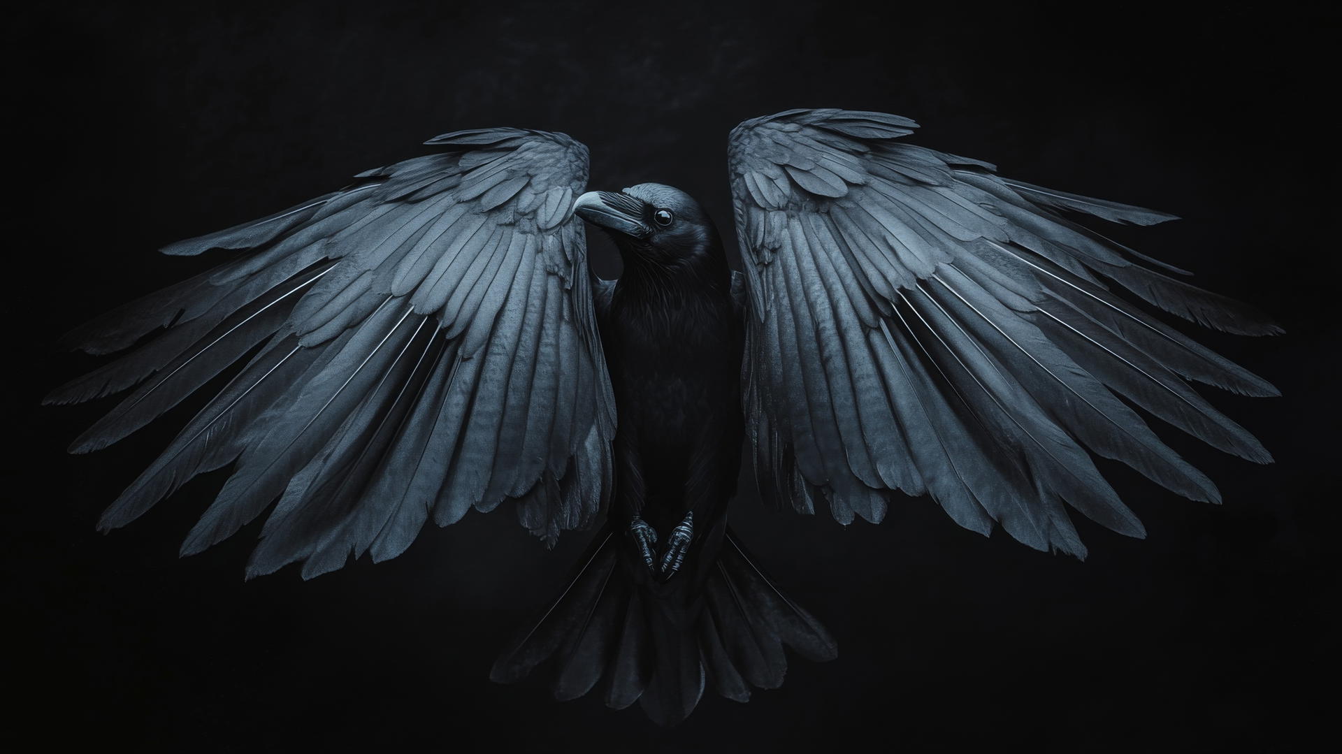 black aesthetic wallpaper with raven's wings spread against a pitch-black sky
