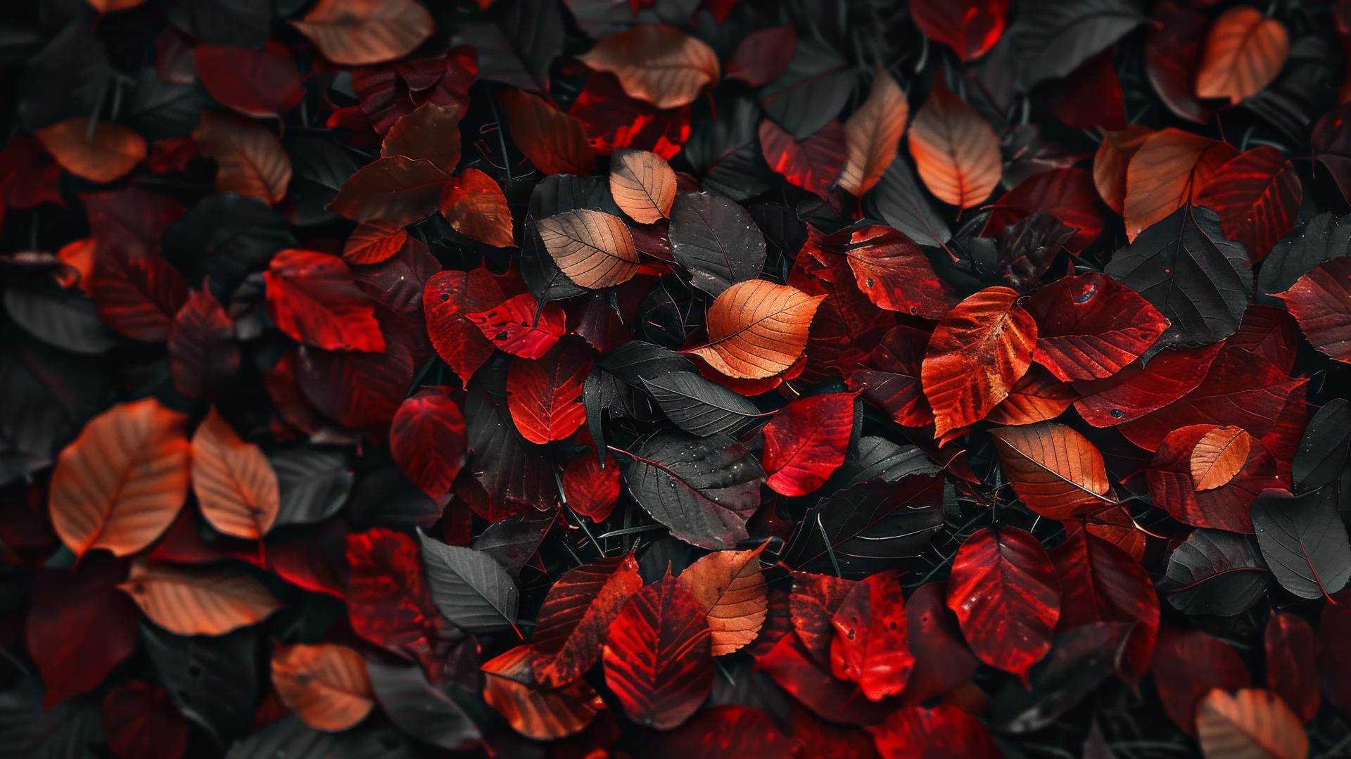 Aesthetic autumn background with vibrant fall colors in 4K resolution.