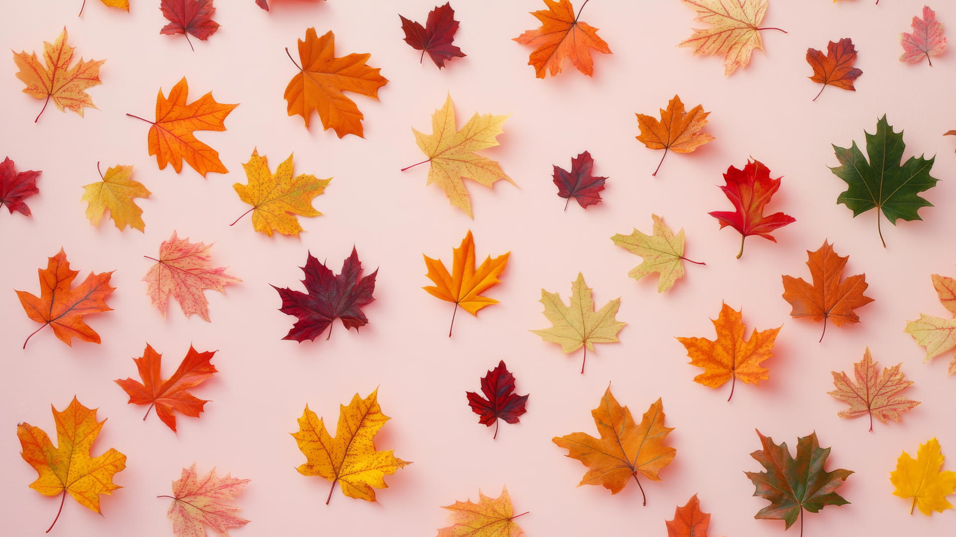preppy fall wallpaper with colorful leaves, plaid accents on light pink background
