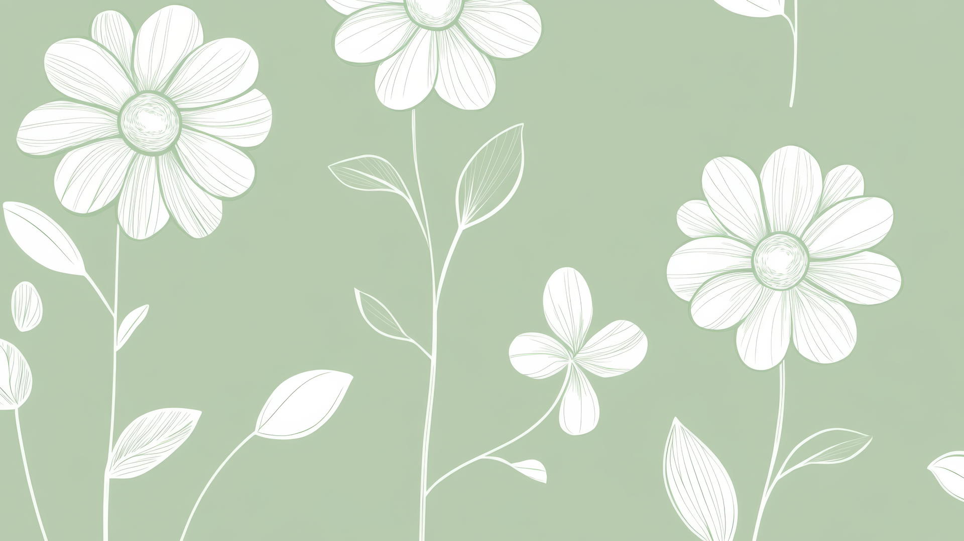 green floral wallpaper with white line drawings of daisies and leaves on sage green background