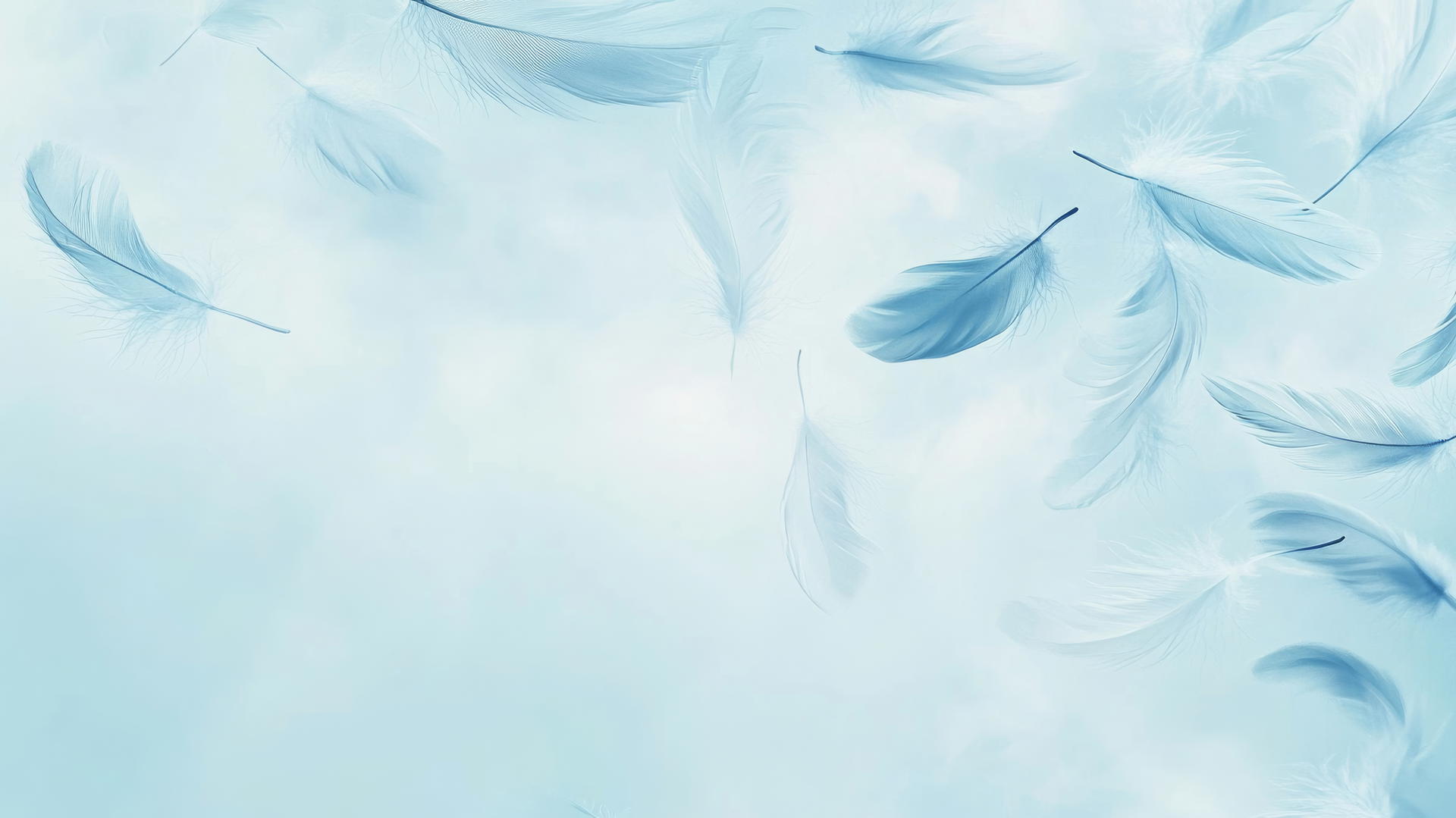 baby blue wallpaper with soft feathers drifting on a light blue background