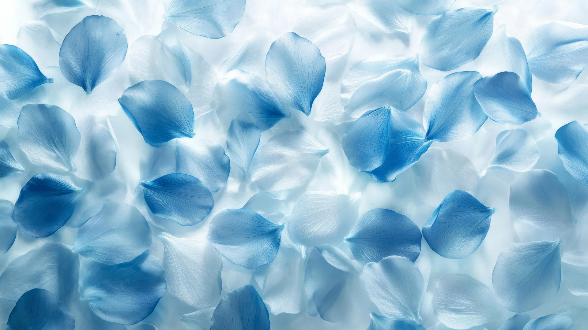 blue flower wallpaper with scattered petals on frosted glass and soft diffused glow