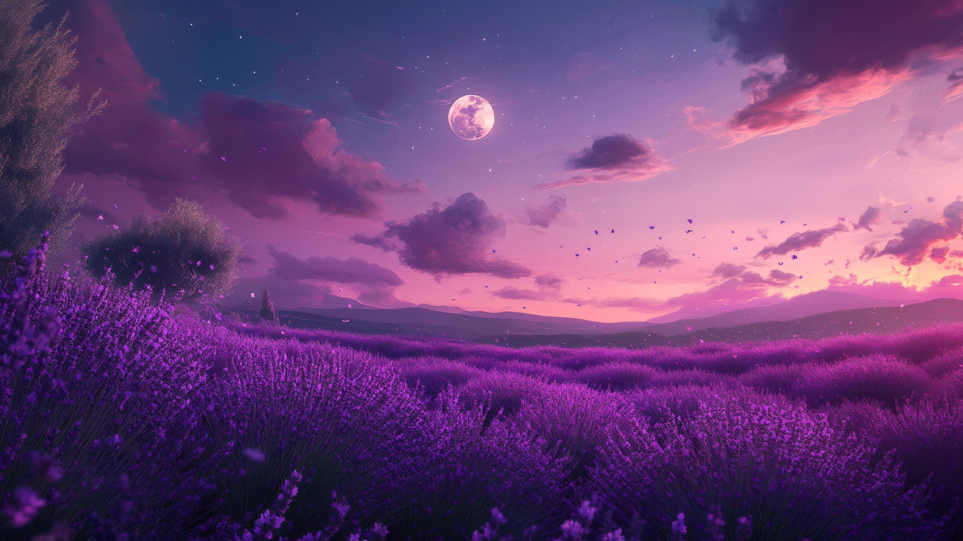 wallpaper purple 4k, lavender field at dusk with purple and pink sky