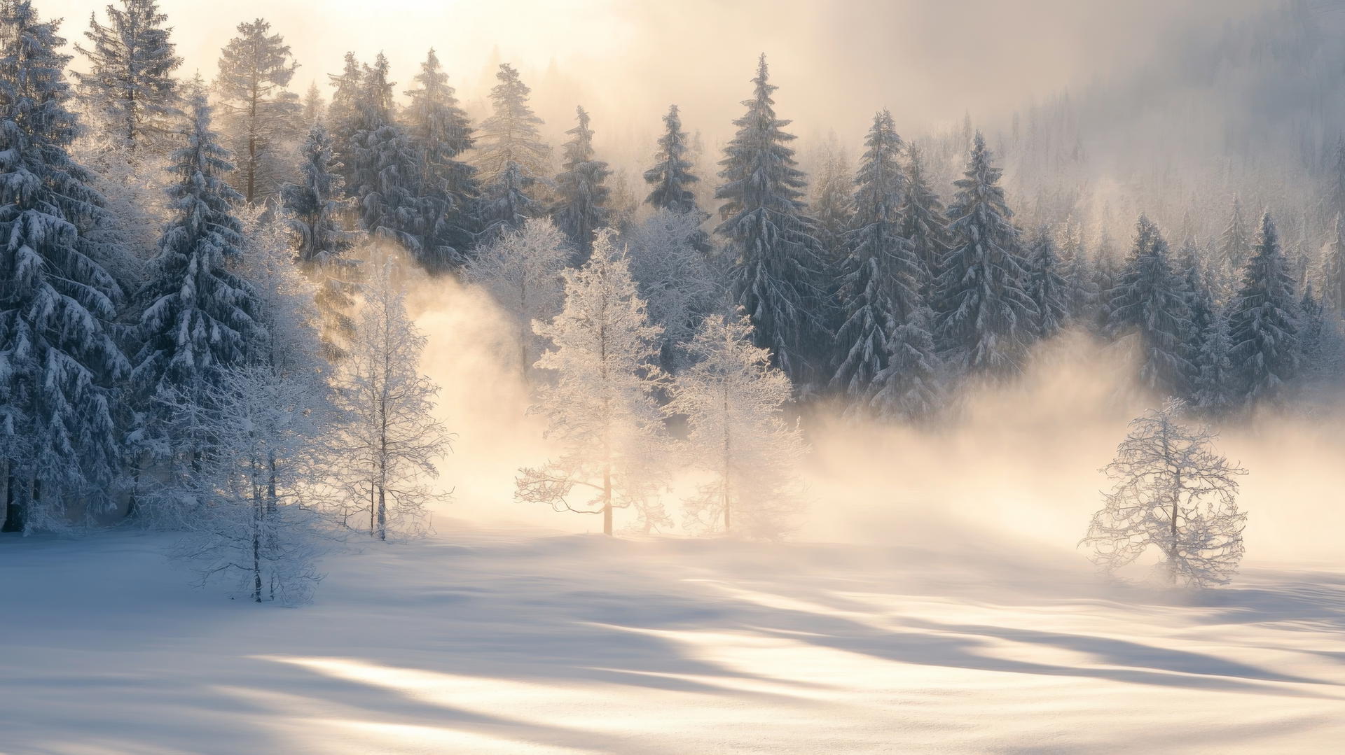 peaceful winter morning with mist over snow-covered forest, winter wallpaper aesthetic