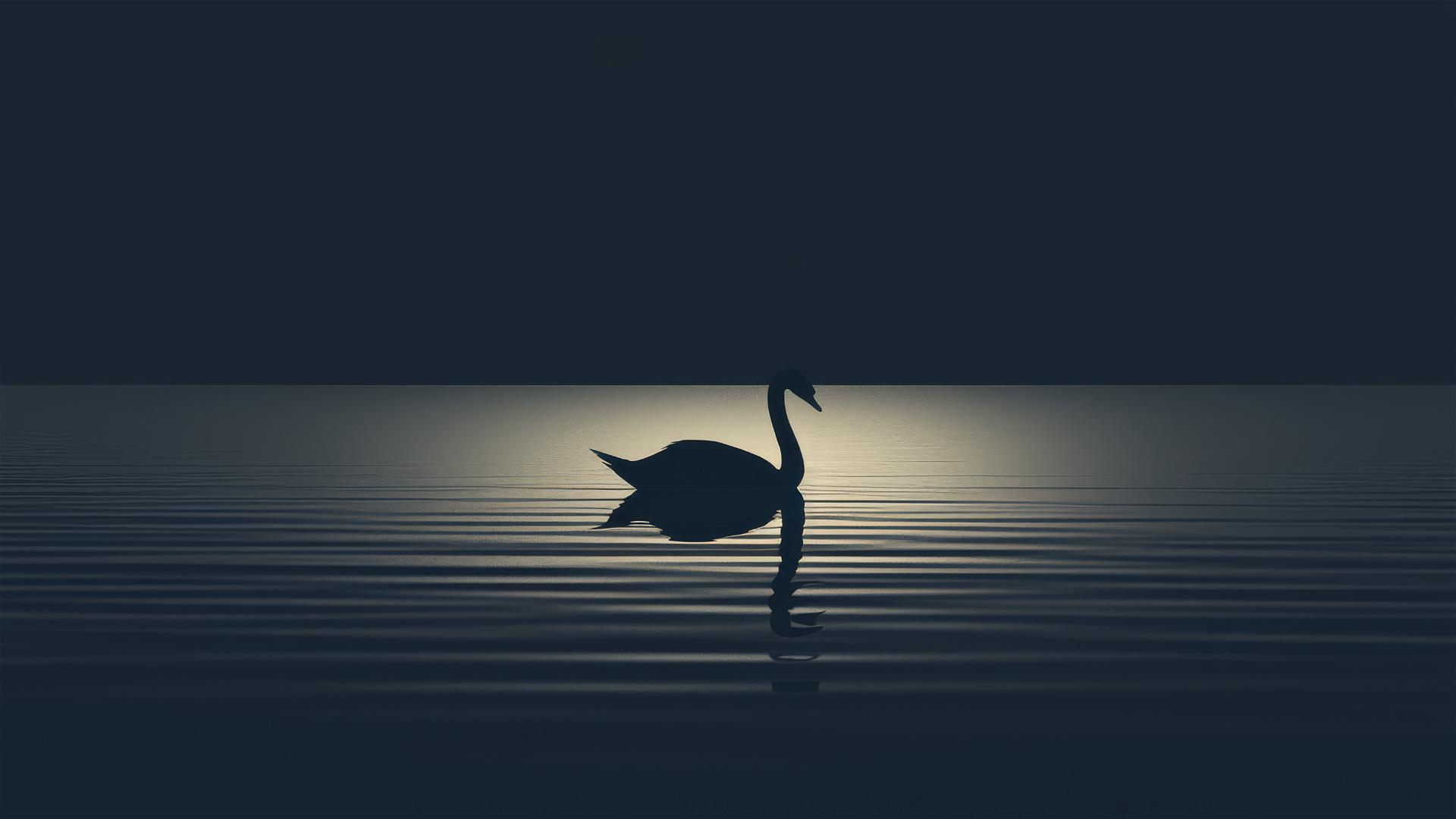 Black swan on a dark lake with silhouette reflection
