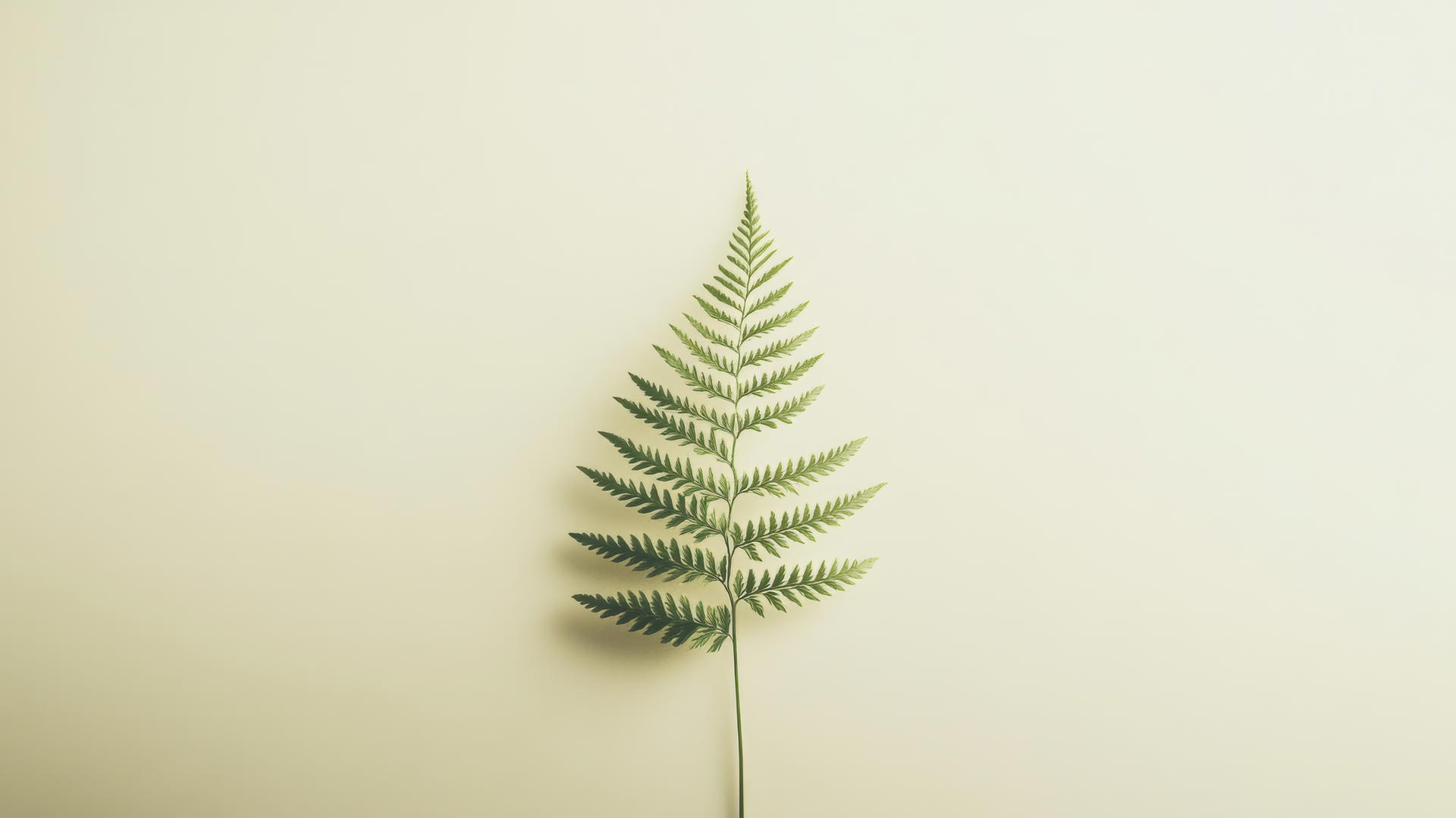 nature aesthetic wallpaper with a delicate fern leaf on a neutral background