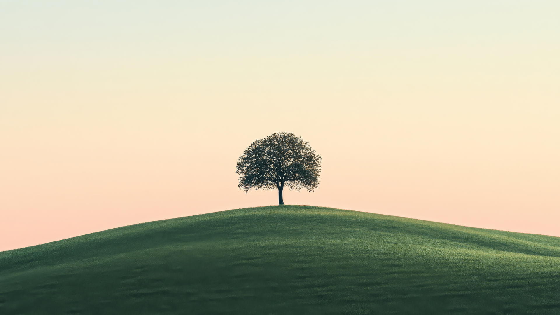 nature aesthetic wallpaper with a lone tree on a grassy hill under a pastel sky
