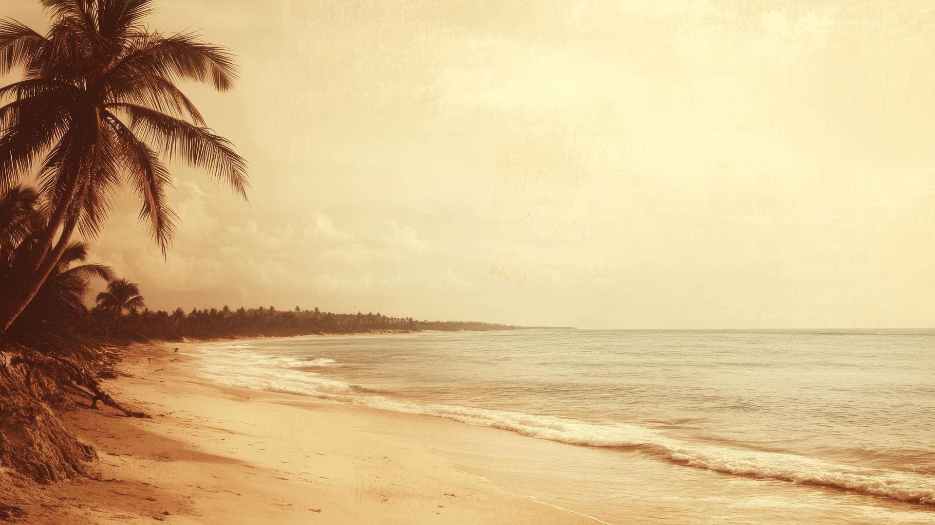 Aesthetic beach wallpaper with vintage sepia tones, palm trees, and soft focus.